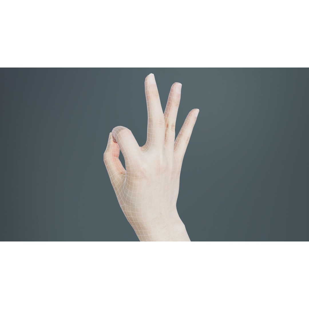 Finger Alphabet F 3D Model – Low Poly Hand Gesture, FBX, Blender - View 12