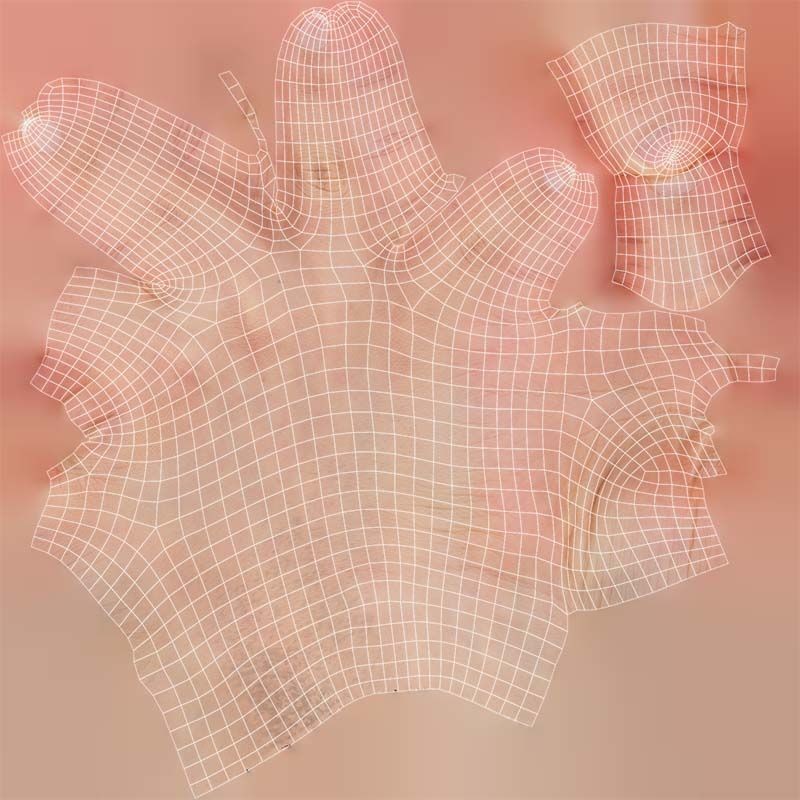 Finger Alphabet F 3D Model – Low Poly Hand Gesture, FBX, Blender - View 16