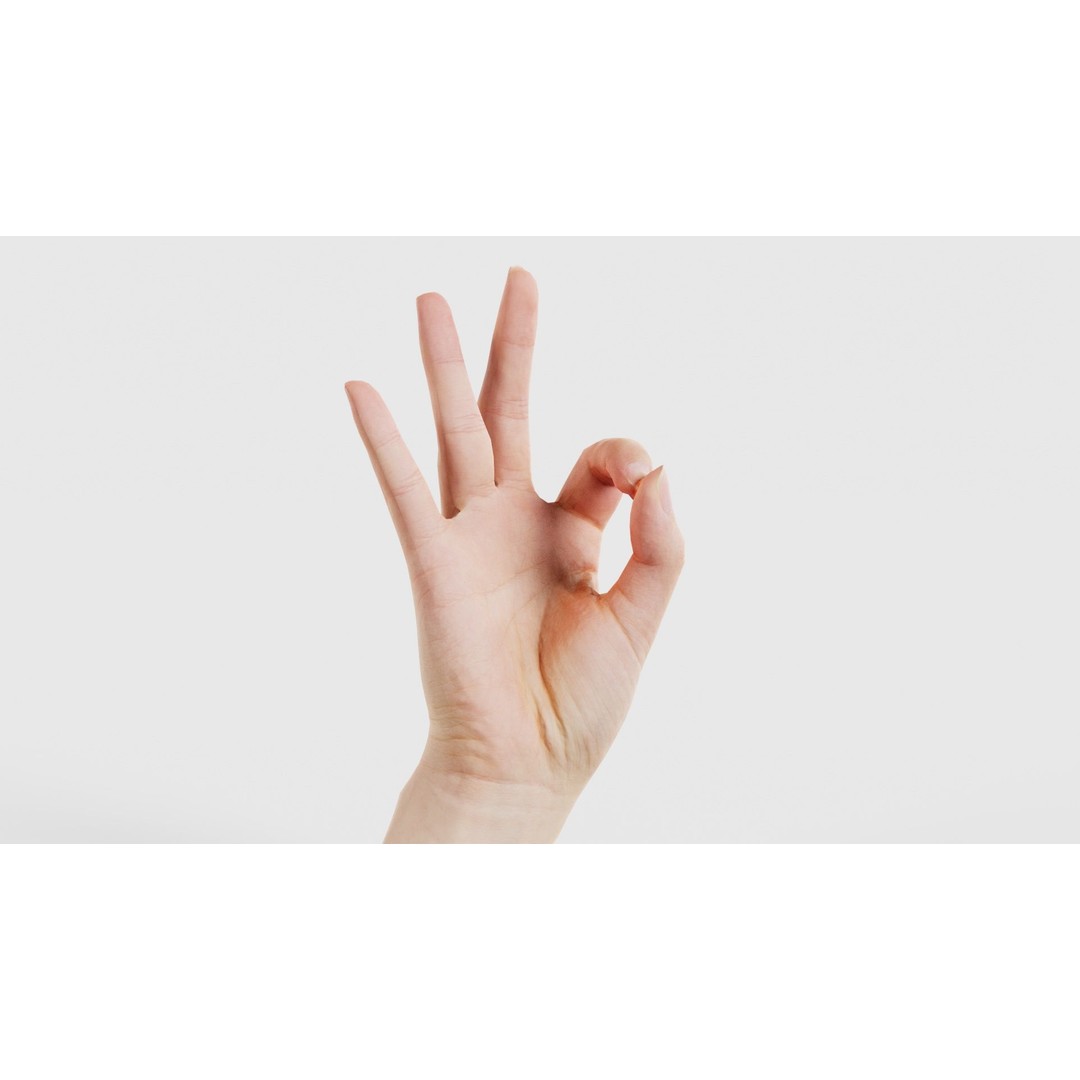 Finger Alphabet F 3D Model – Low Poly Hand Gesture, FBX, Blender - View 17