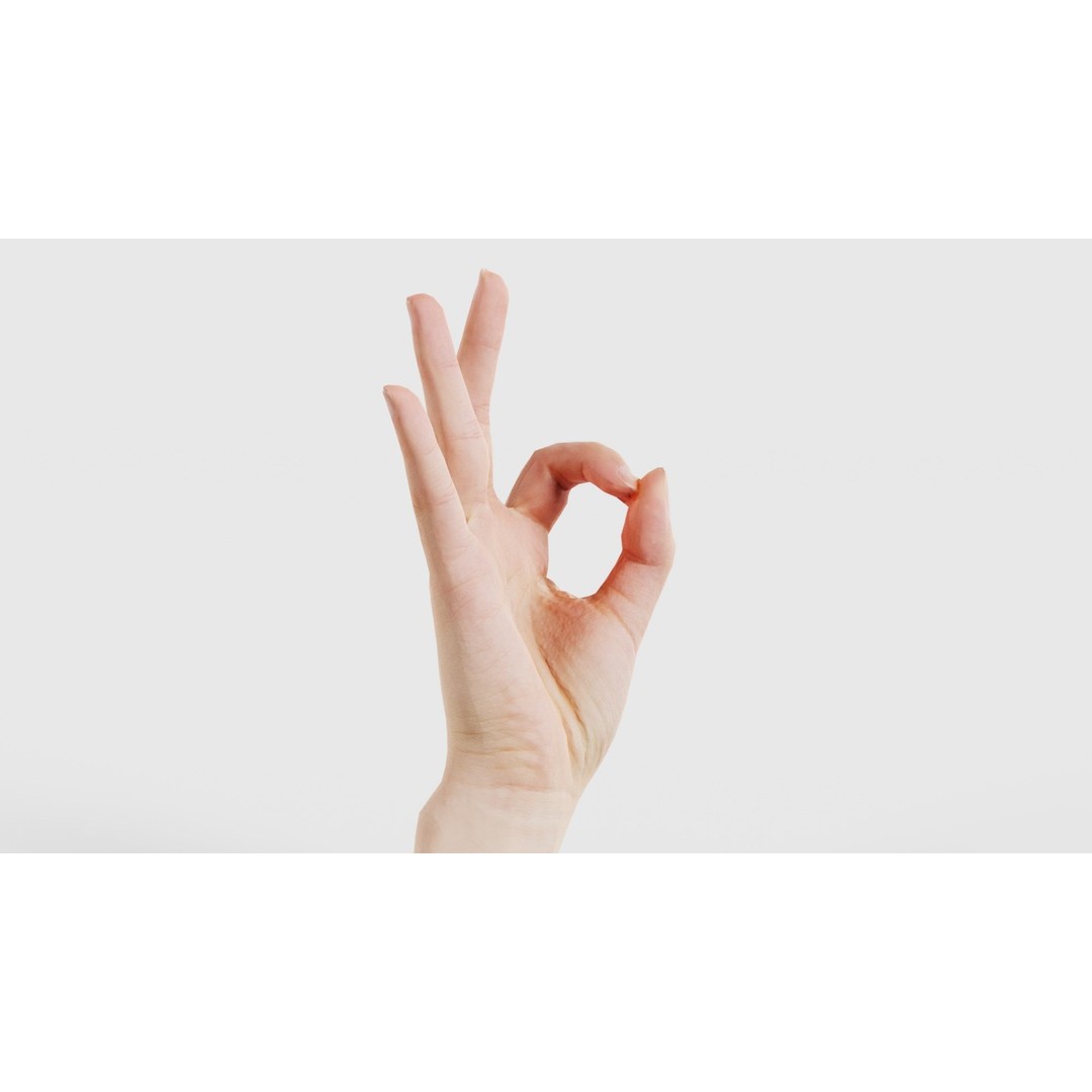 Finger Alphabet F 3D Model – Low Poly Hand Gesture, FBX, Blender - View 18