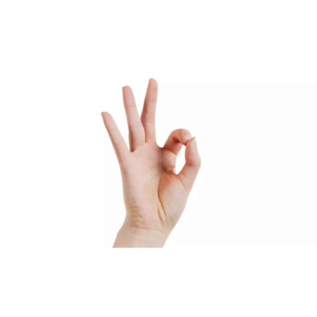 Finger Alphabet F 3D Model – Low Poly Hand Gesture, FBX, Blender - View 2