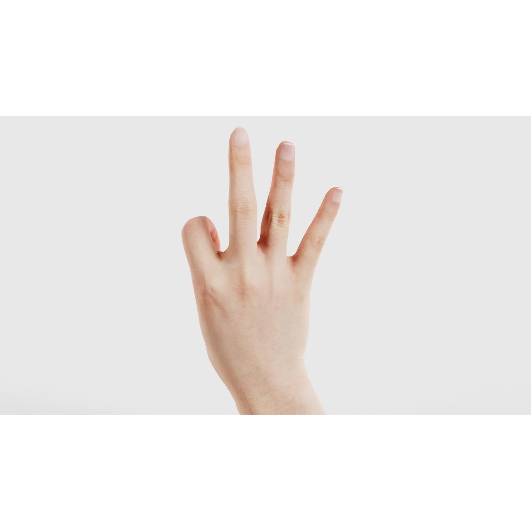 Finger Alphabet F 3D Model – Low Poly Hand Gesture, FBX, Blender - View 22