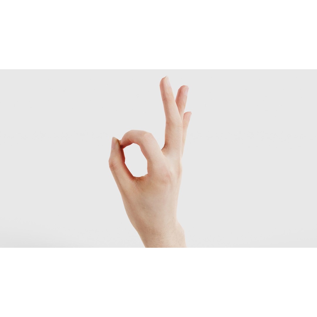 Finger Alphabet F 3D Model – Low Poly Hand Gesture, FBX, Blender - View 24