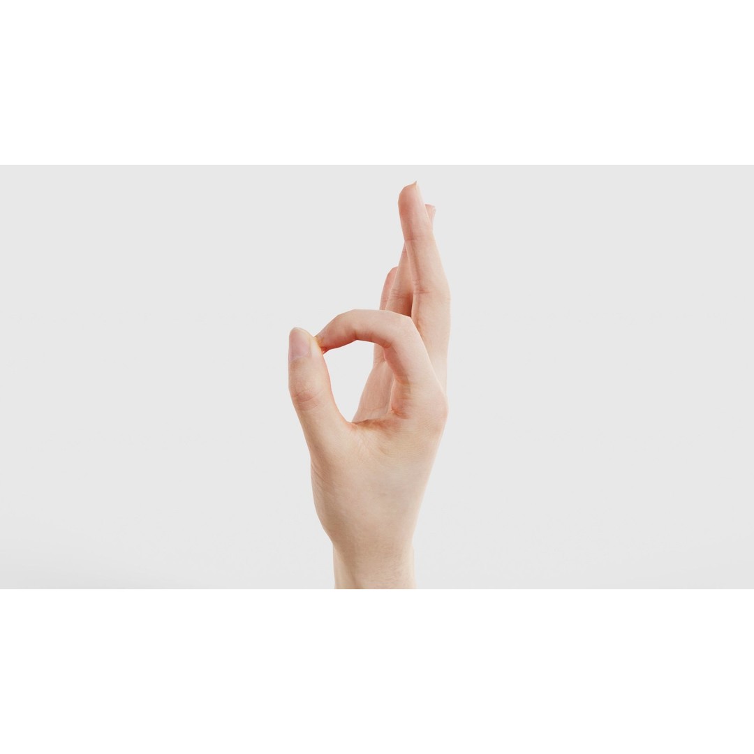 Finger Alphabet F 3D Model – Low Poly Hand Gesture, FBX, Blender - View 25