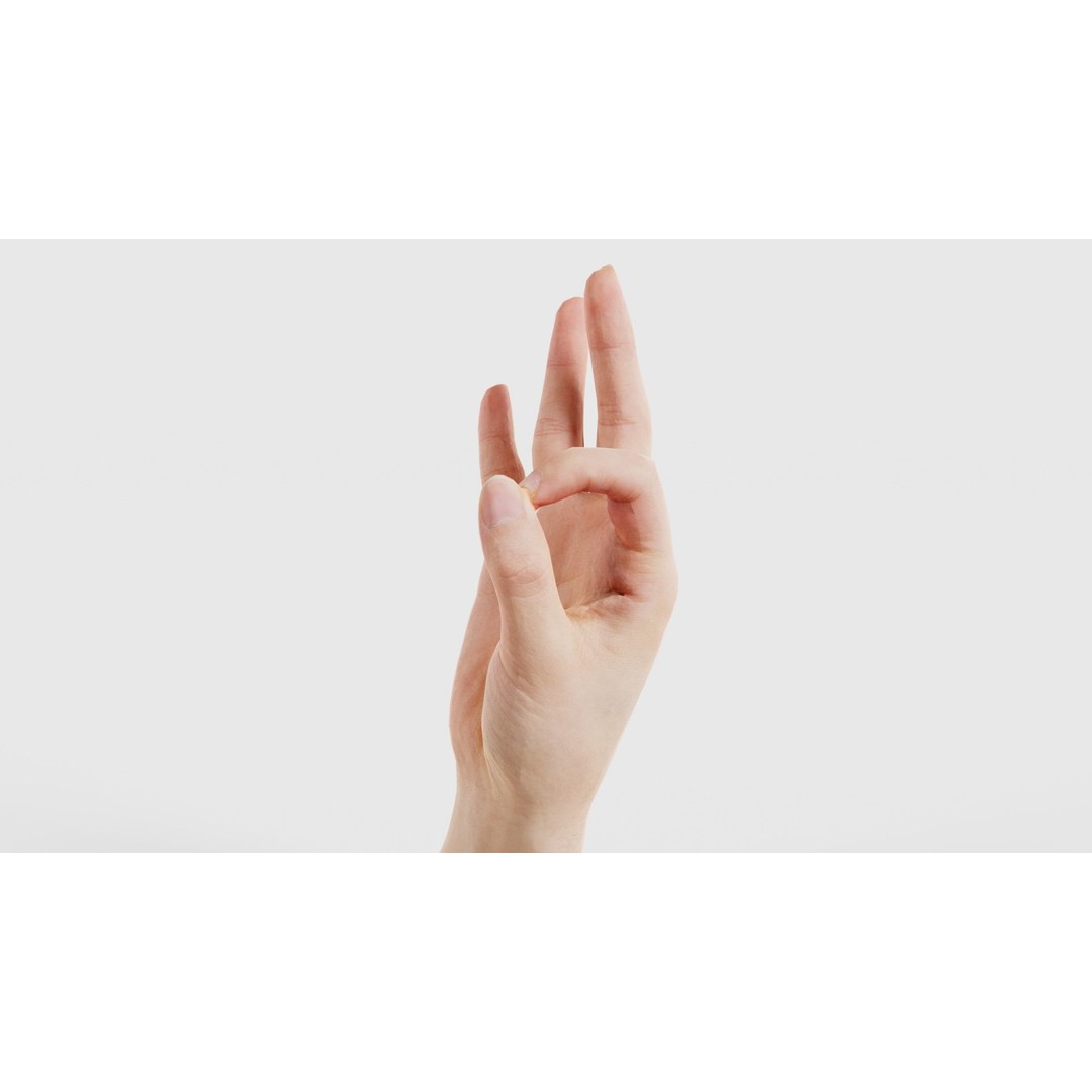 Finger Alphabet F 3D Model – Low Poly Hand Gesture, FBX, Blender - View 26