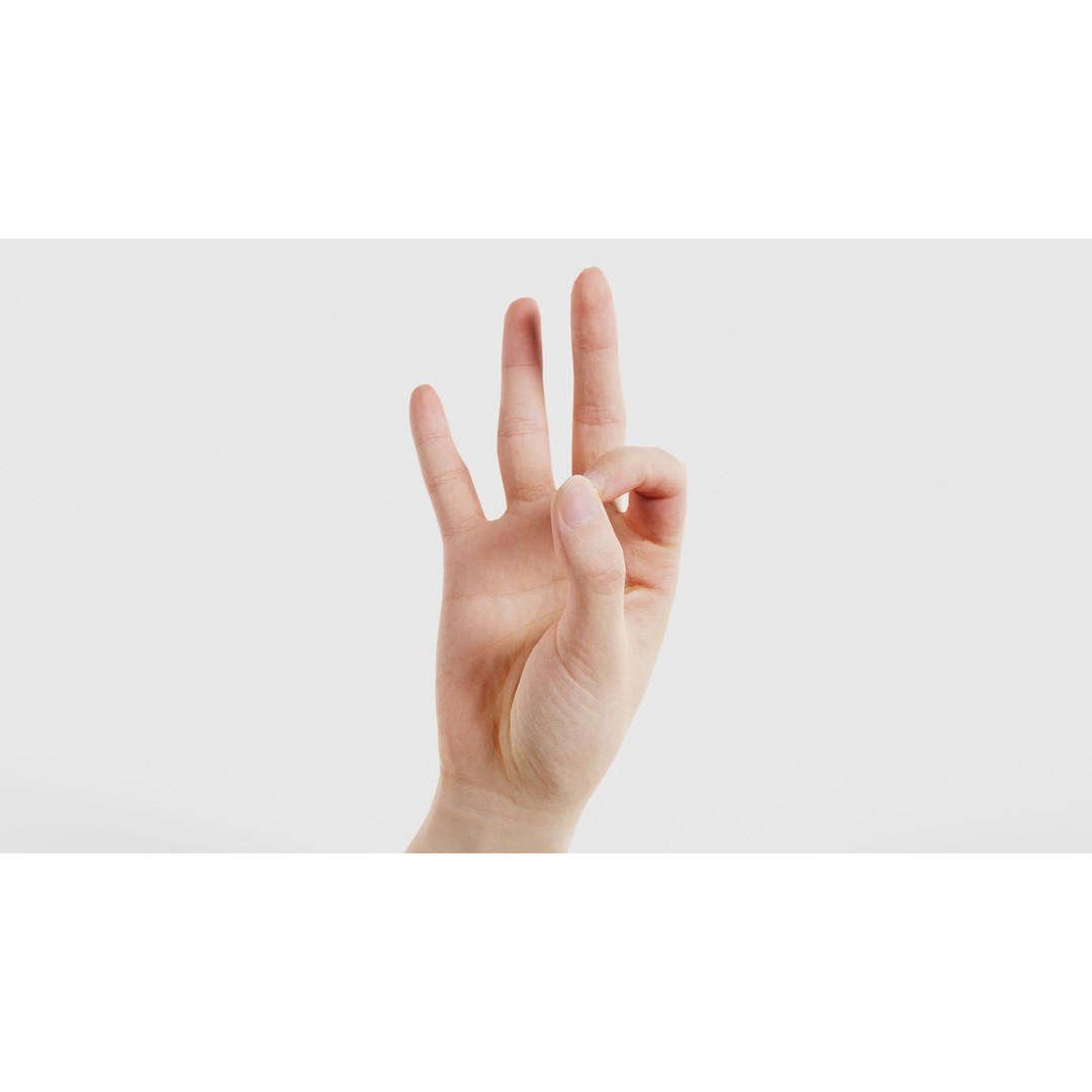 Finger Alphabet F 3D Model – Low Poly Hand Gesture, FBX, Blender - View 27