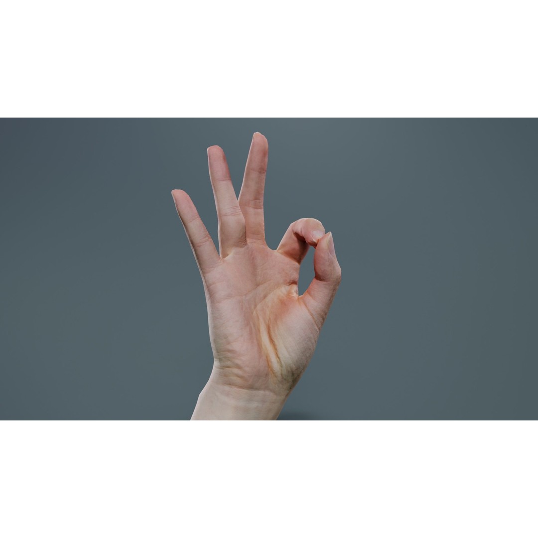 Finger Alphabet F 3D Model – Low Poly Hand Gesture, FBX, Blender - View 6