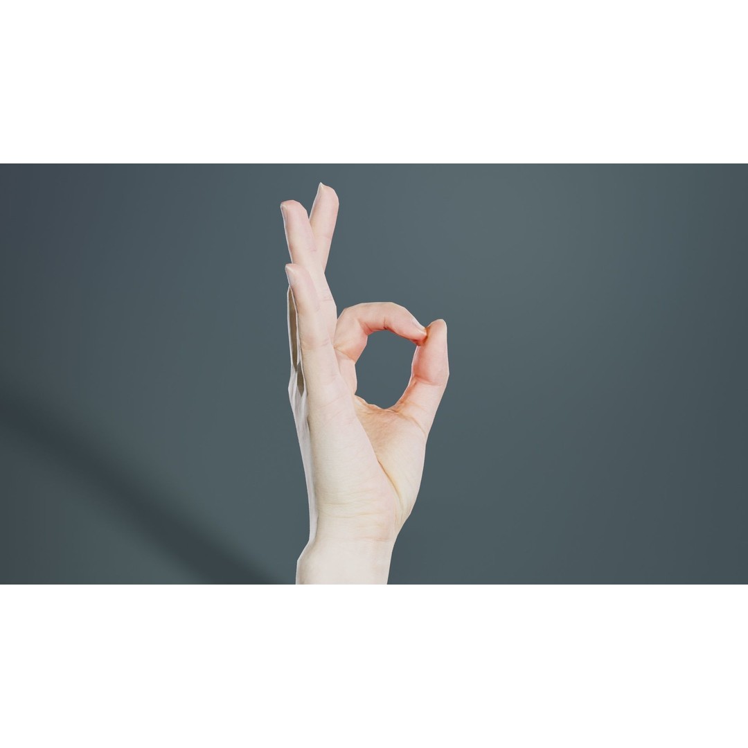 Finger Alphabet F 3D Model – Low Poly Hand Gesture, FBX, Blender - View 8