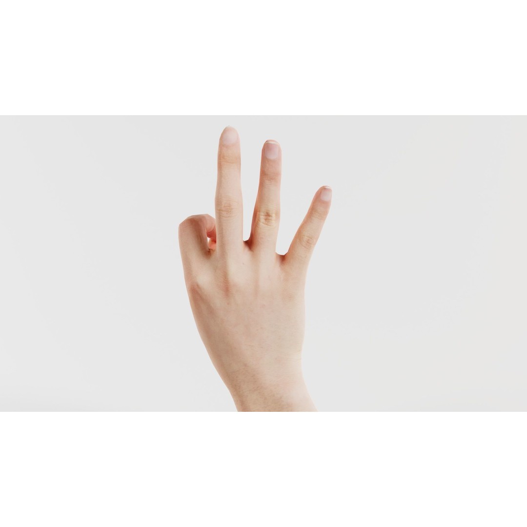 Finger Alphabet F 3D Model – Low Poly Hand Gesture, FBX, Blender - View 9