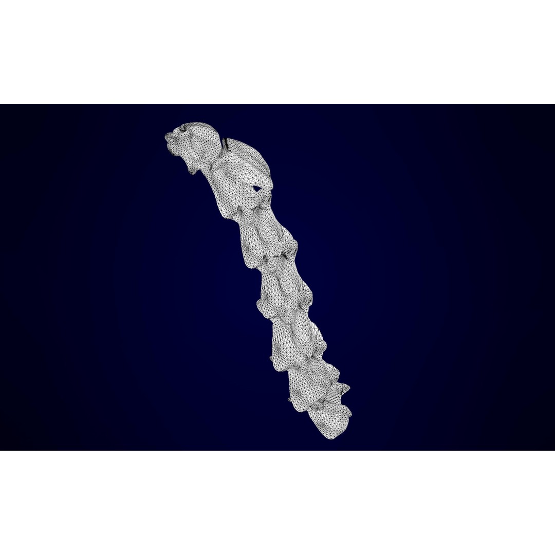 Unicorn Skeleton 3D Model – High Poly Anatomy Asset, FBX & OBJ Formats - View 13