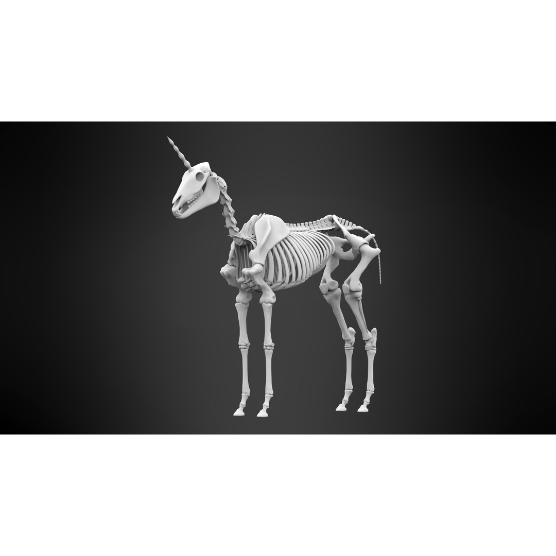 Unicorn Skeleton 3D Model – High Poly Anatomy Asset, FBX & OBJ Formats - View 7