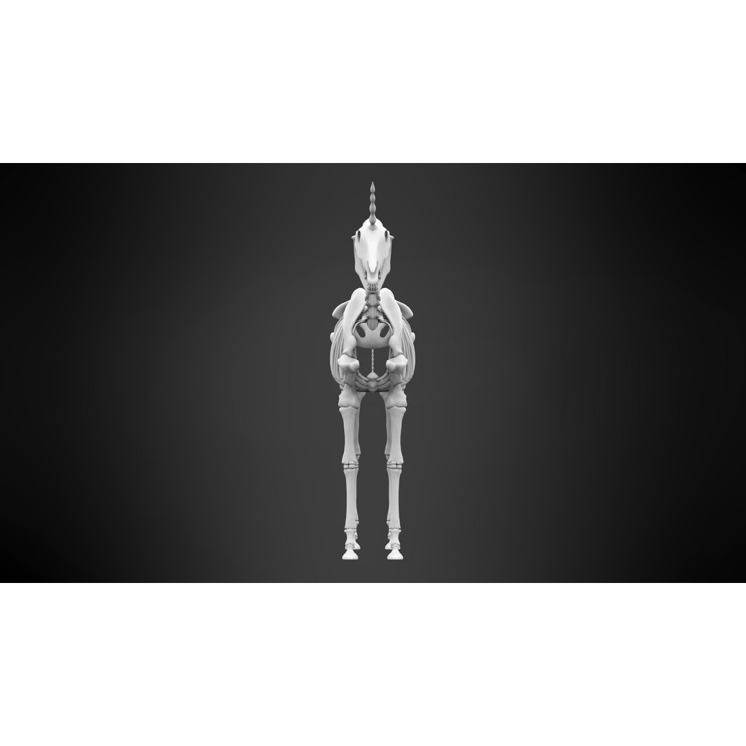 Unicorn Skeleton 3D Model – High Poly Anatomy Asset, FBX & OBJ Formats - View 8