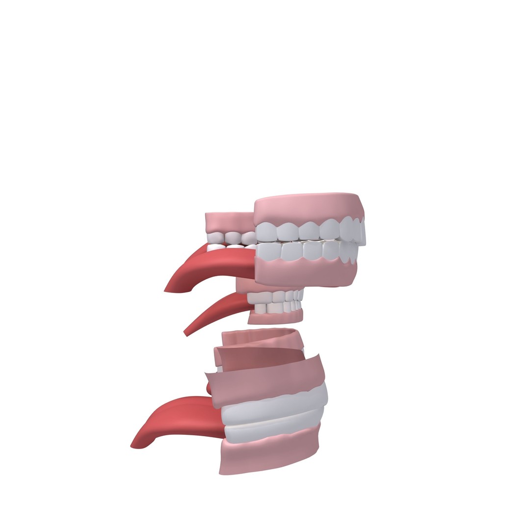 Human Mouth 3D Model – Cartoon Style with PBR Textures, FBX, OBJ - View 3