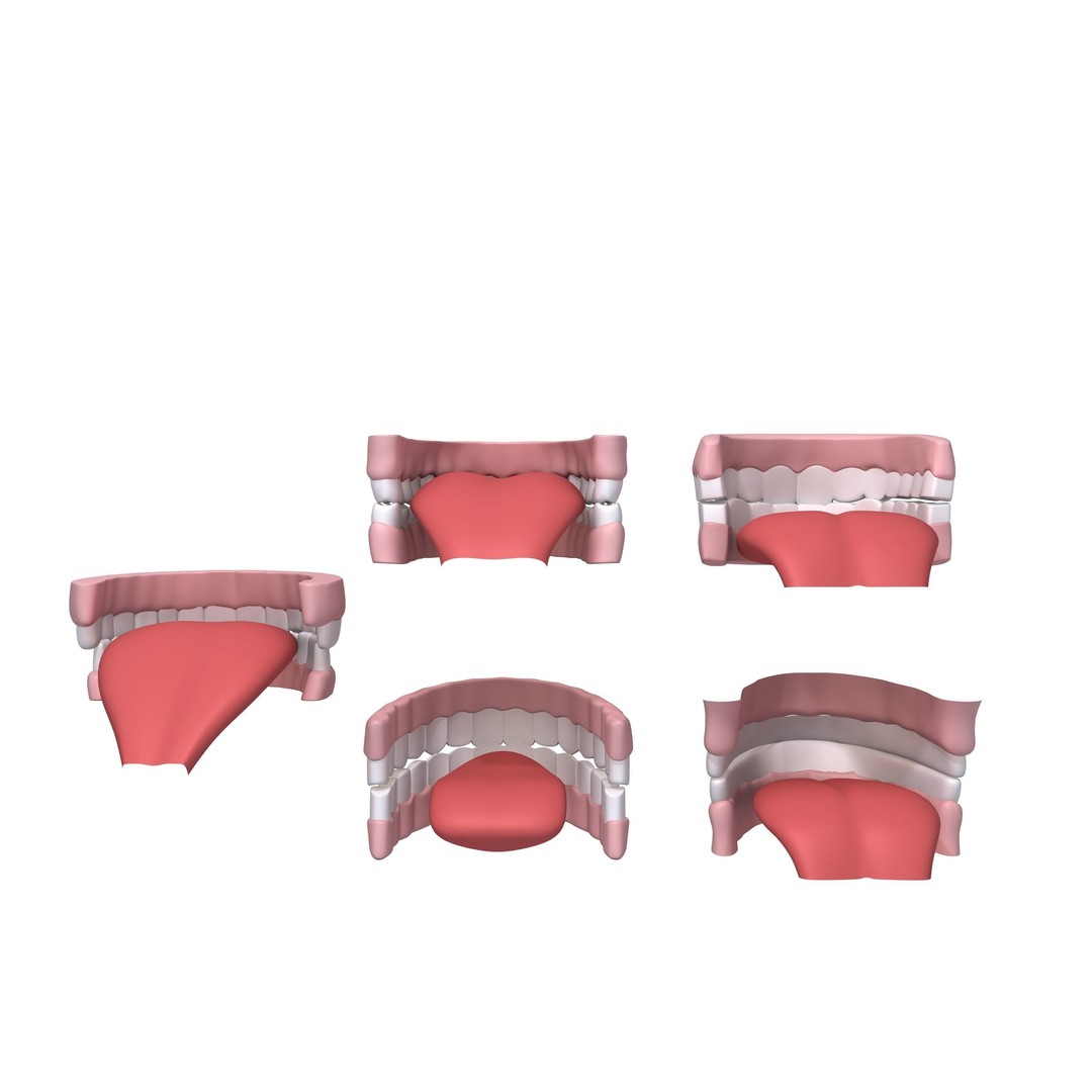 Human Mouth 3D Model – Cartoon Style with PBR Textures, FBX, OBJ - View 4