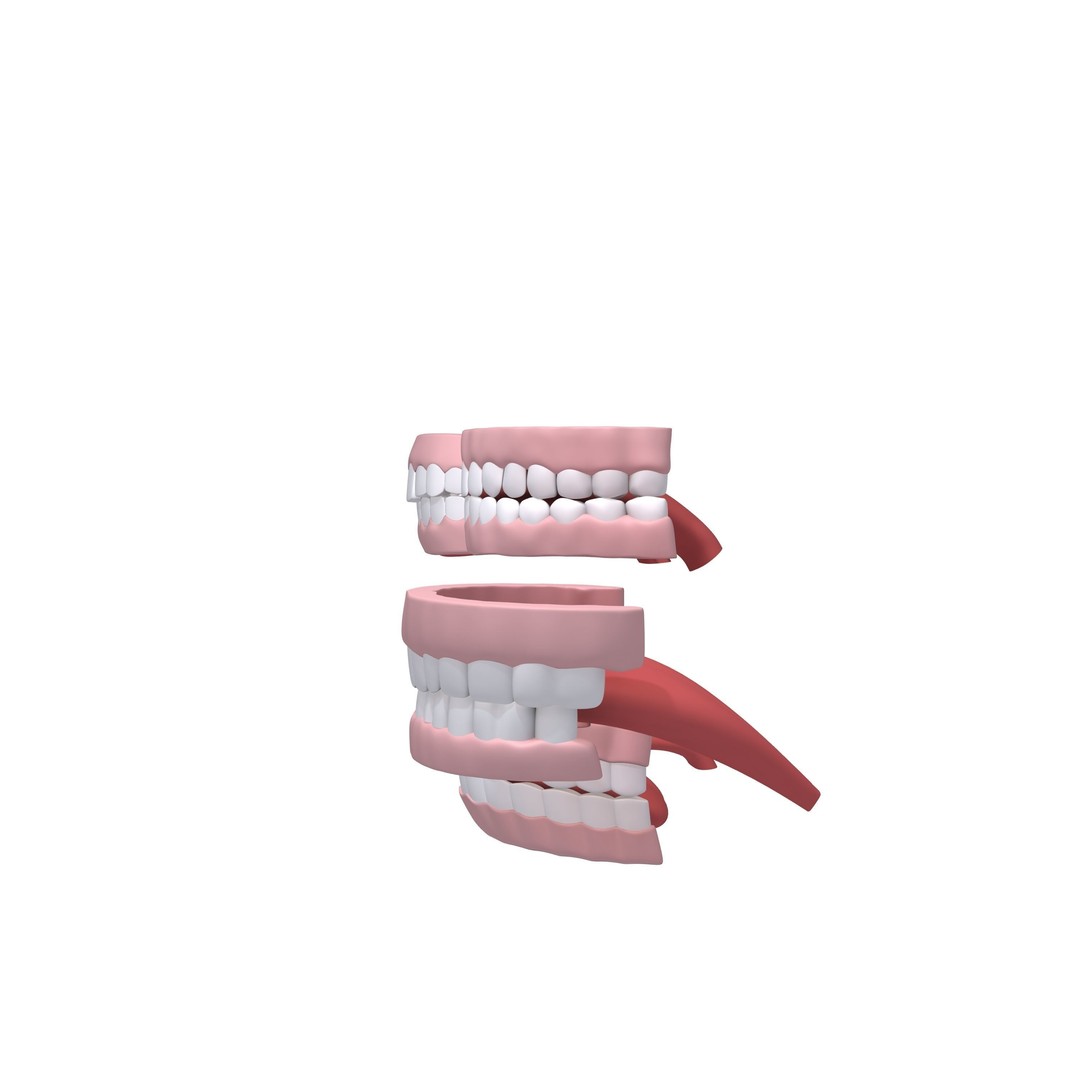 Human Mouth 3D Model – Cartoon Style with PBR Textures, FBX, OBJ - View 5