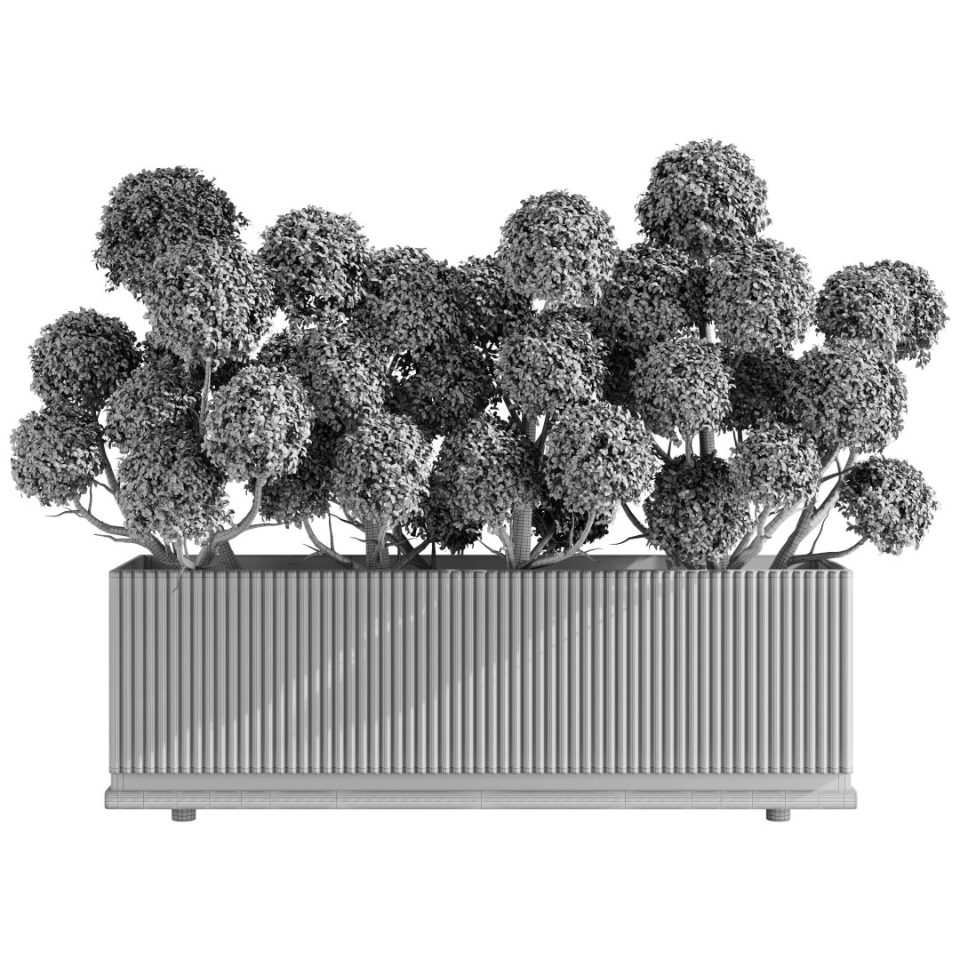 Cloud Topiary Tree 3D Model – Modern Rectangular Planter, FBX, OBJ