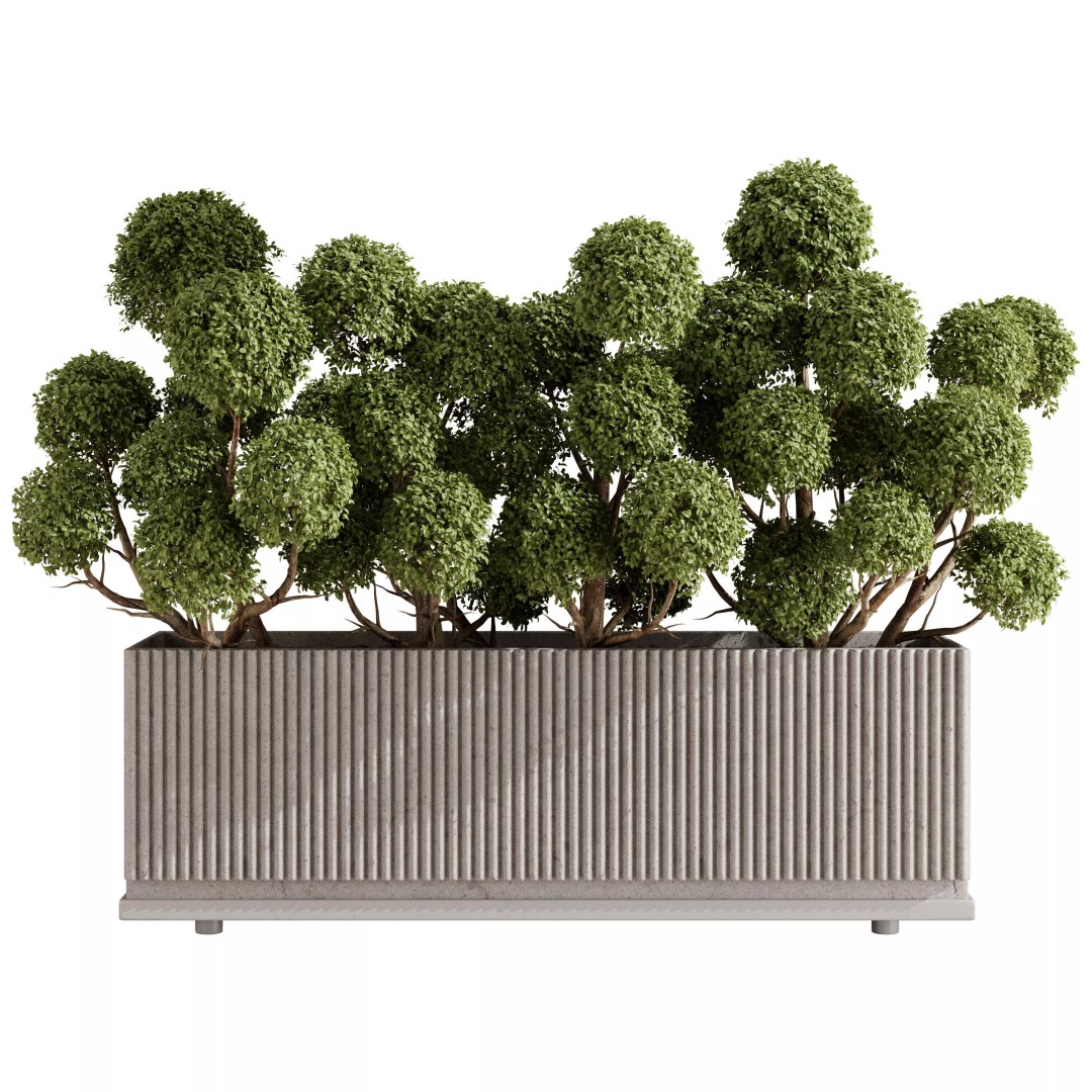 Cloud Topiary Tree 3D Model – Modern Rectangular Planter, FBX, OBJ - View 2