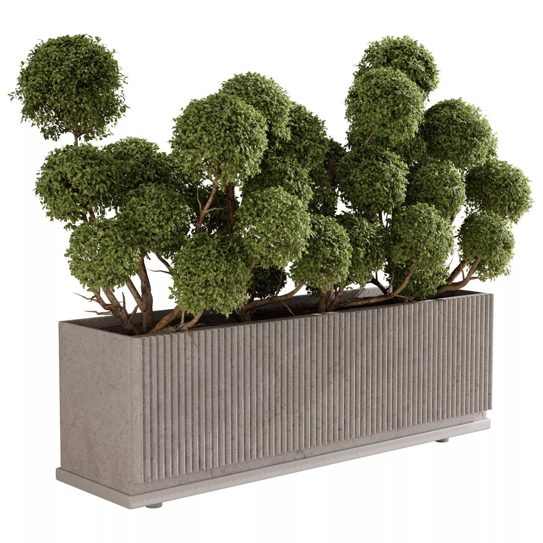 Cloud Topiary Tree 3D Model – Modern Rectangular Planter, FBX, OBJ - View 3