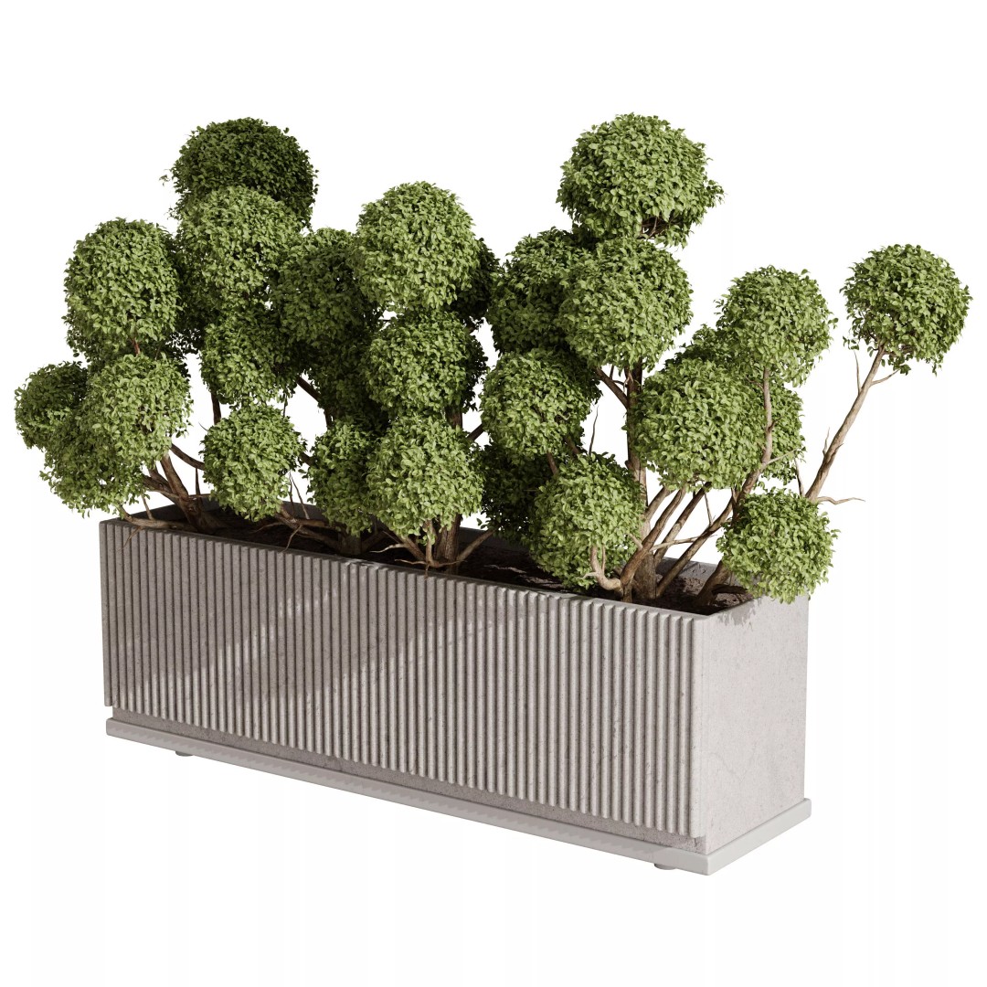 Cloud Topiary Tree 3D Model – Modern Rectangular Planter, FBX, OBJ - View 4
