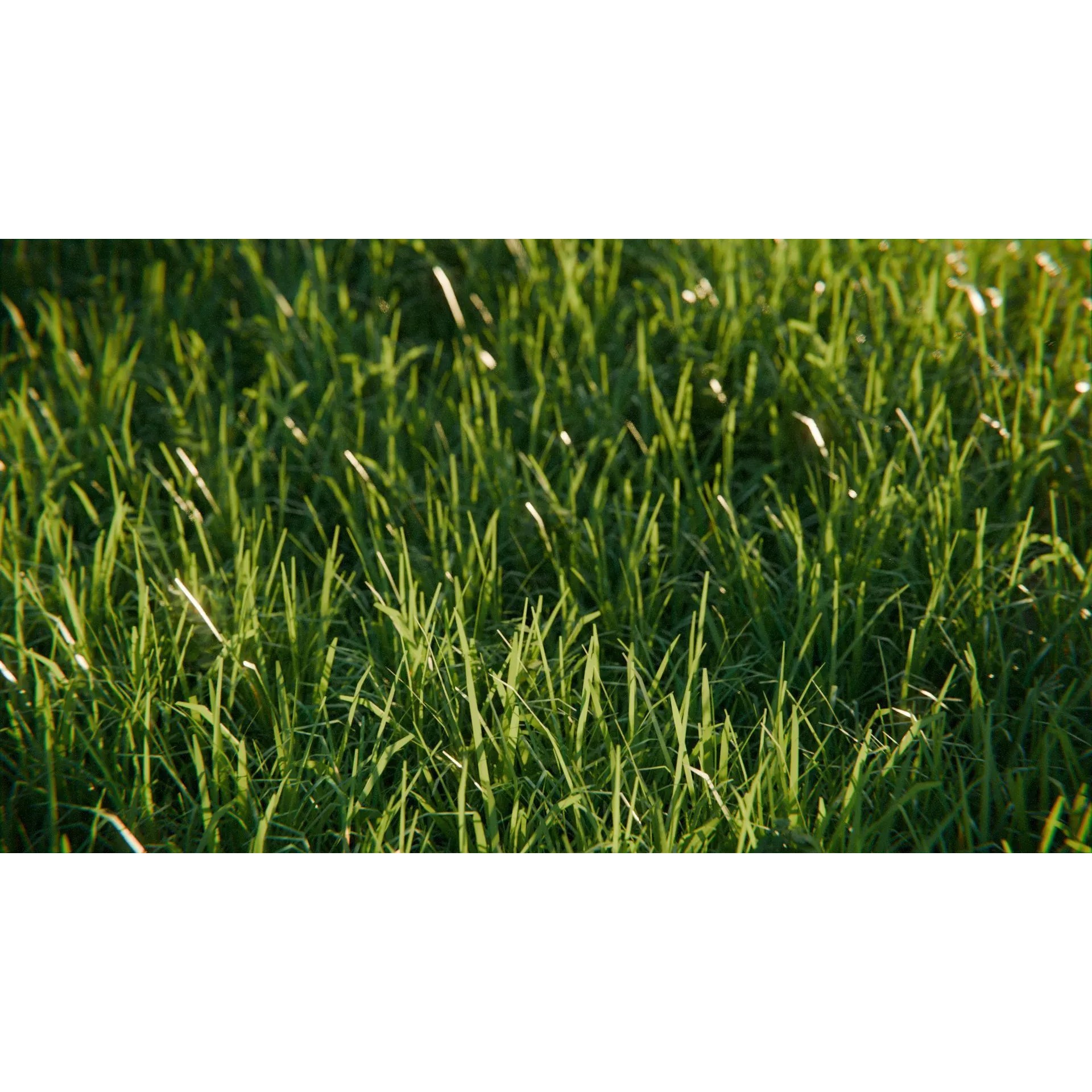 Farm Landscape - Low-Poly Game-Ready 3D Model - View 8