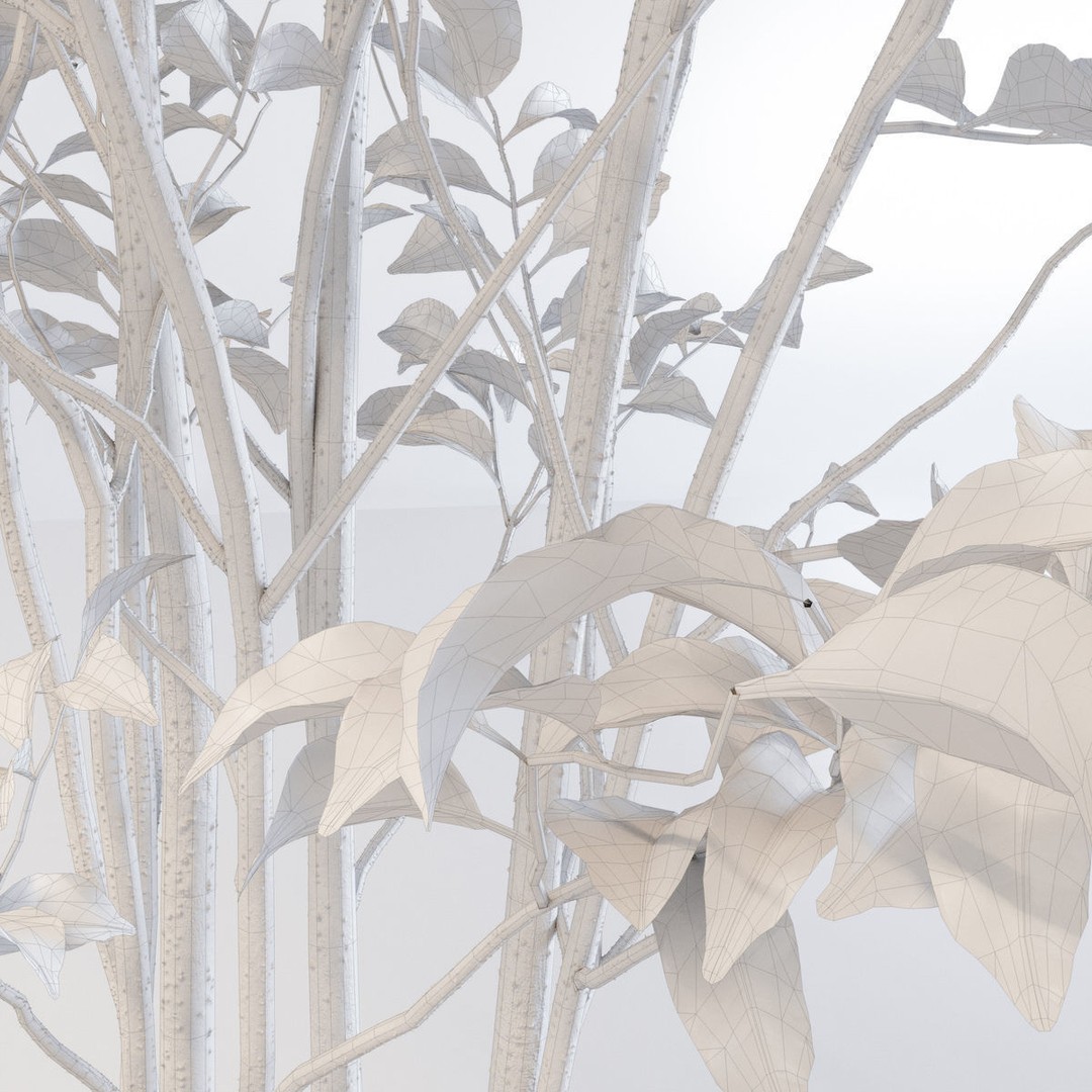 Fraxinus Griffithii Tree 3D Model – High Poly PBR Asset, FBX, OBJ - View 10