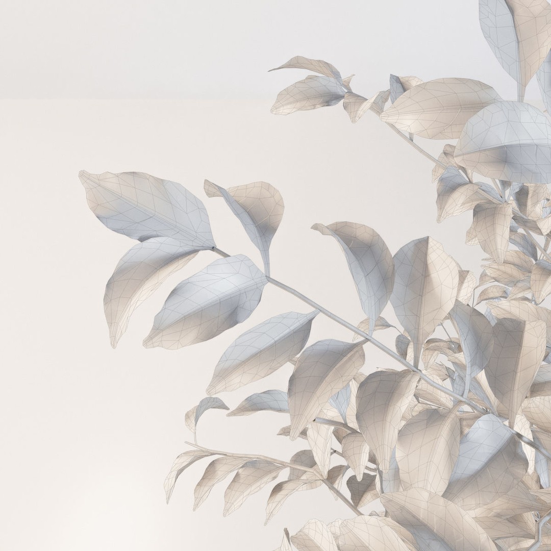 Fraxinus Griffithii Tree 3D Model – High Poly PBR Asset, FBX, OBJ - View 11