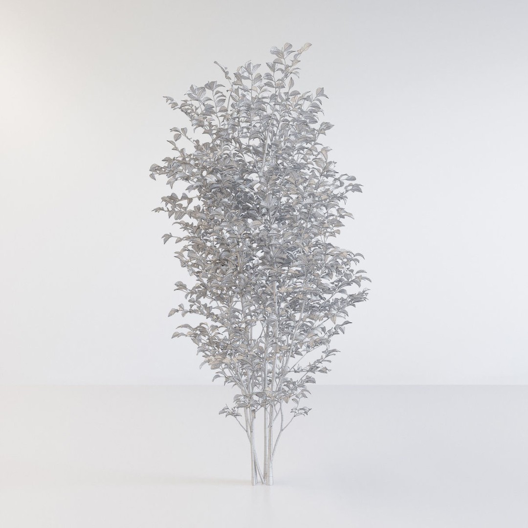 Fraxinus Griffithii Tree 3D Model – High Poly PBR Asset, FBX, OBJ - View 7