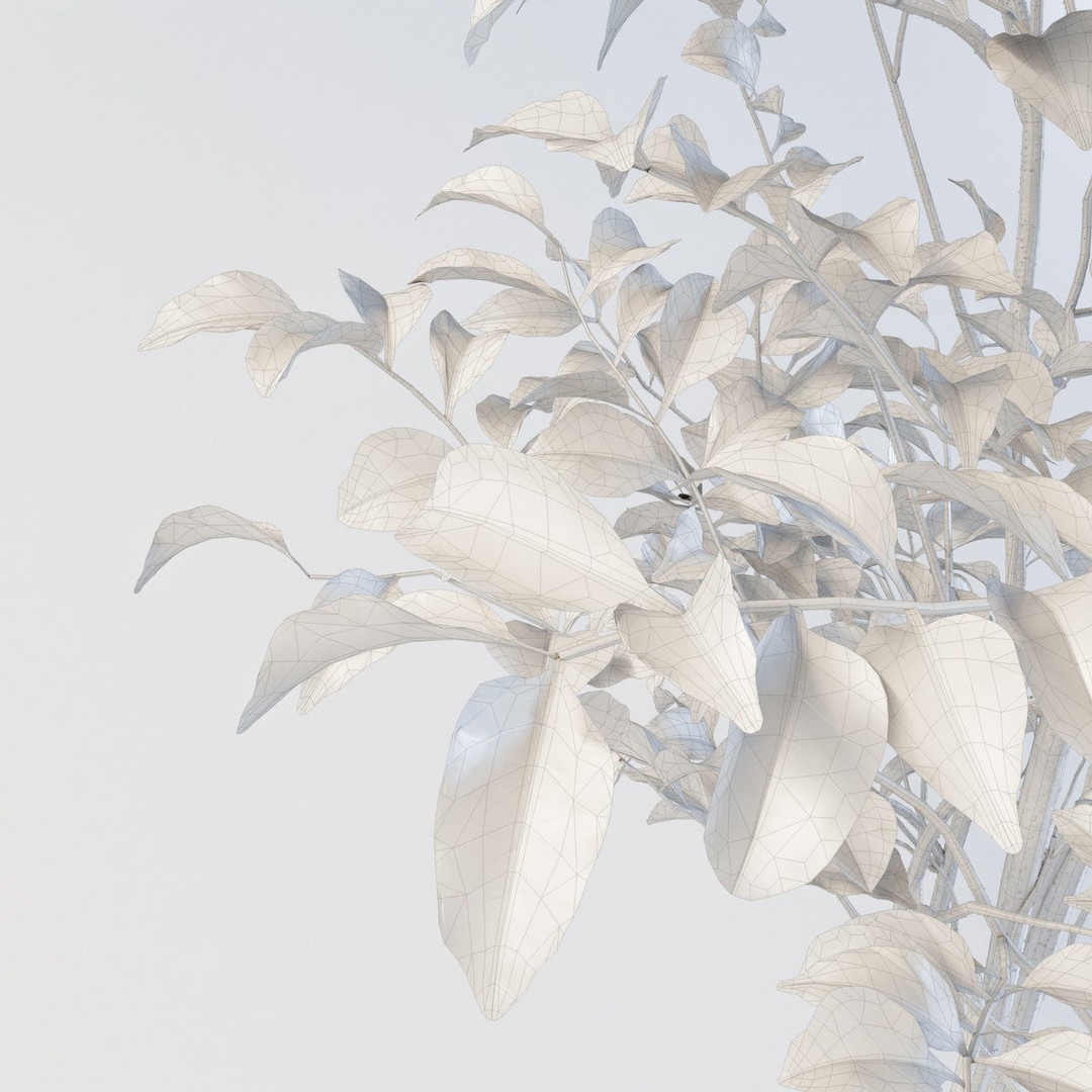 Fraxinus Griffithii Tree 3D Model – High Poly PBR Asset, FBX, OBJ - View 8