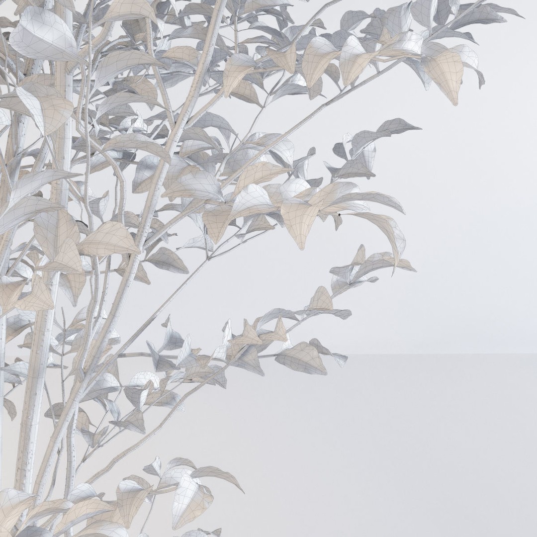 Fraxinus Griffithii Tree 3D Model – High Poly PBR Asset, FBX, OBJ - View 9