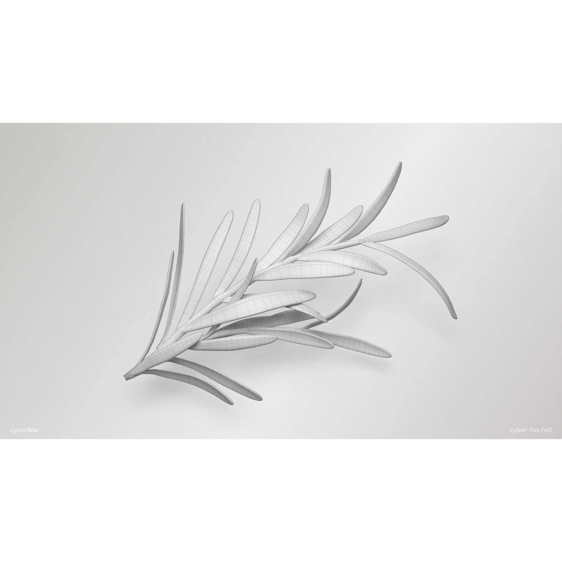 Rosemary Branch - Low-Poly Game-Ready 3D Model - View 7