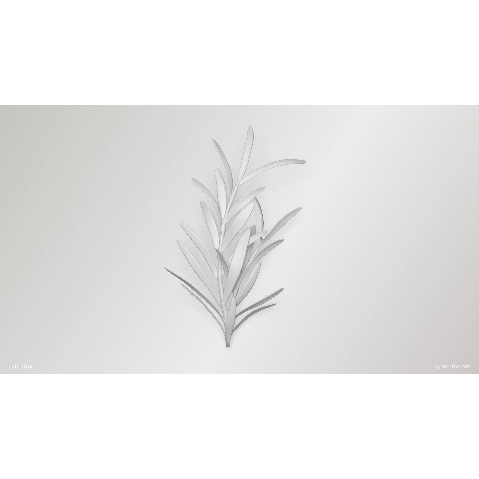 Rosemary Branch - Low-Poly Game-Ready 3D Model - View 8