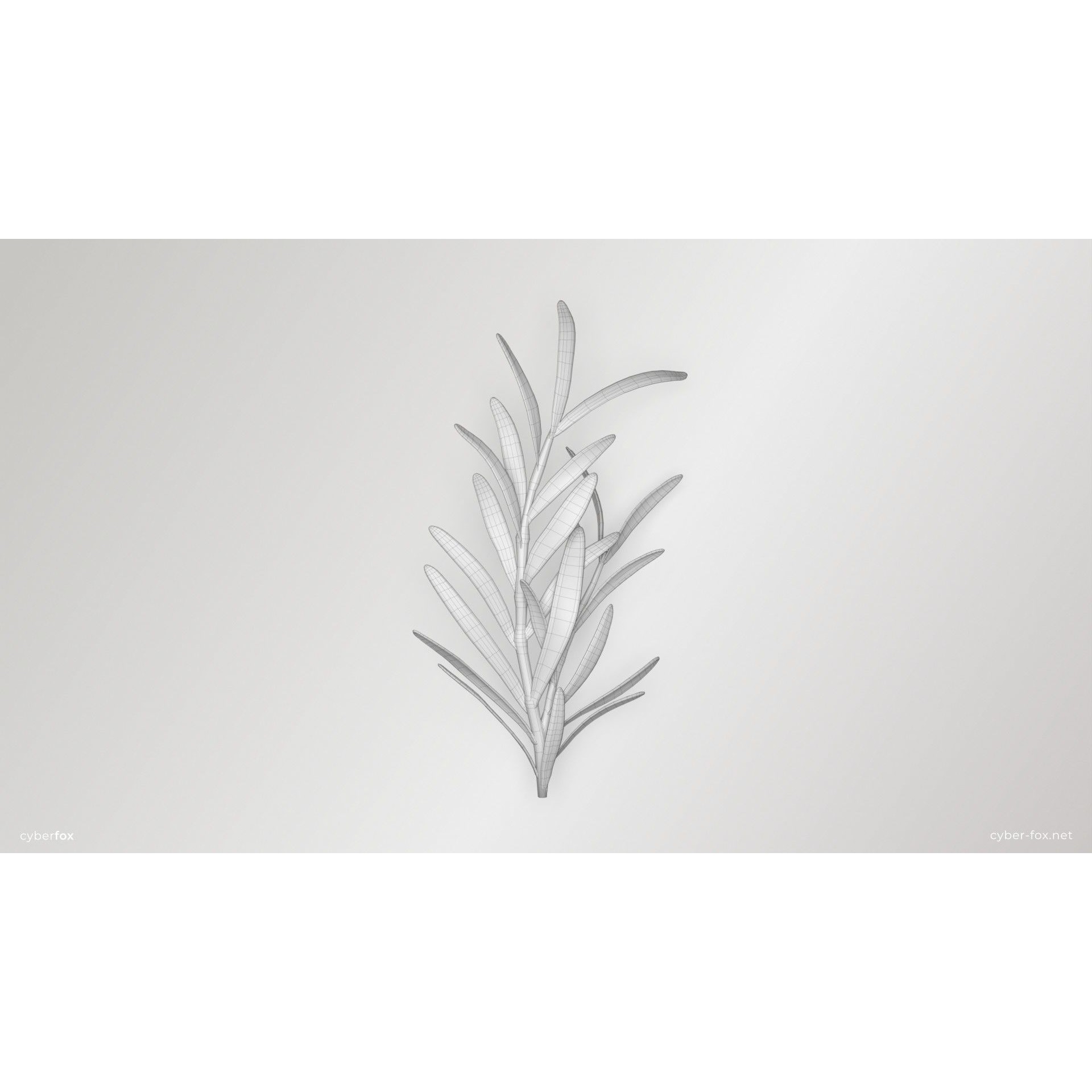 Rosemary Branch - Low-Poly Game-Ready 3D Model - View 9