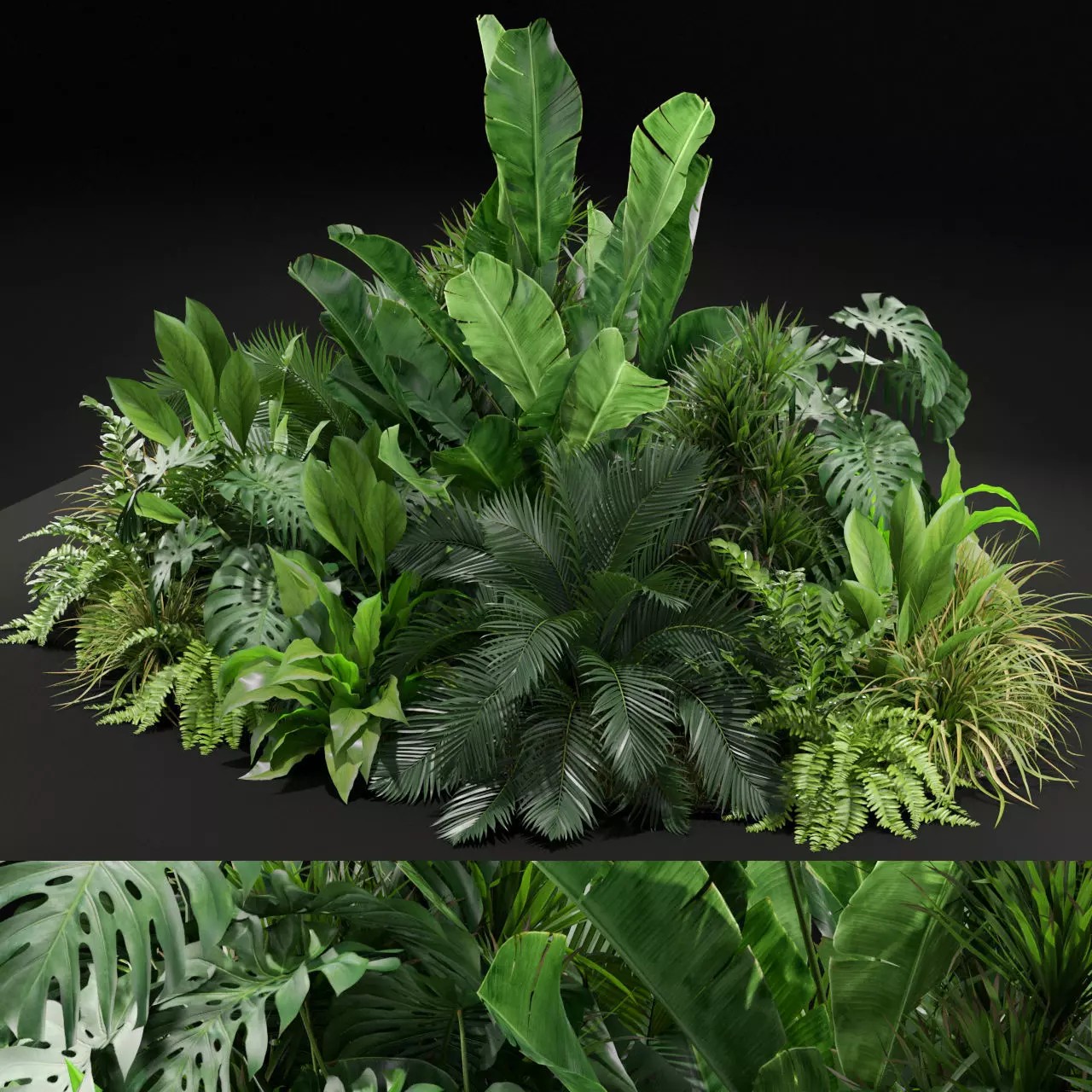 Plants Collection 445 - PBR Game-Ready 3D Model - View 2