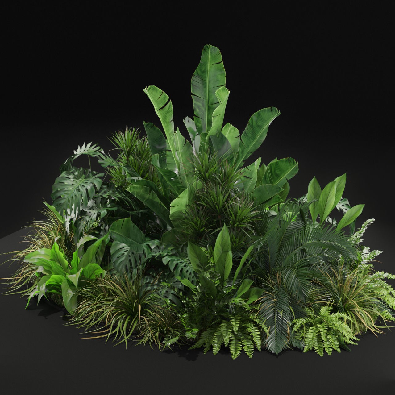Plants Collection 445 - PBR Game-Ready 3D Model - View 3