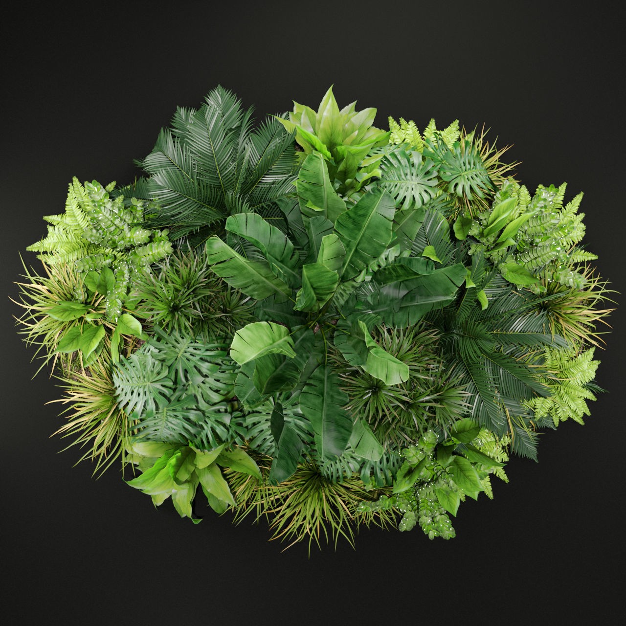 Plants Collection 445 - PBR Game-Ready 3D Model - View 4