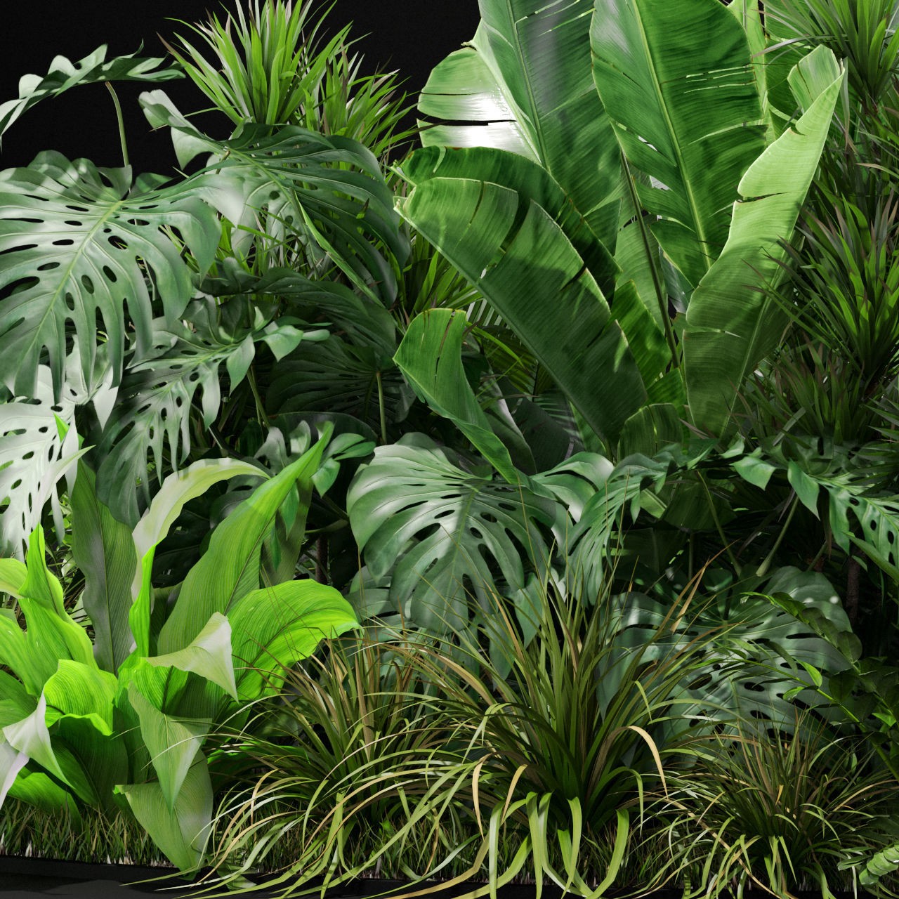 Plants Collection 445 - PBR Game-Ready 3D Model - View 5