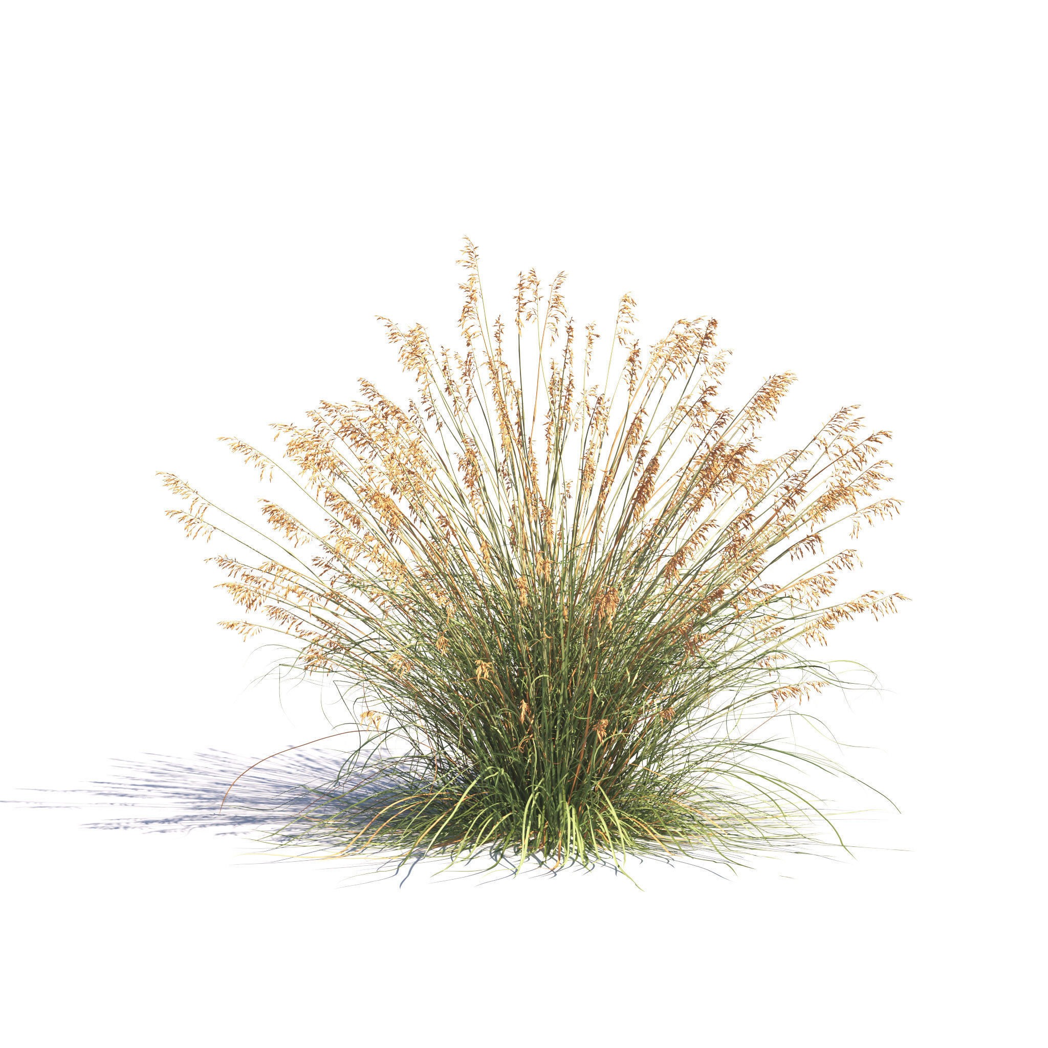 Garden Plants Collection - Game-Ready 3D Model - View 13