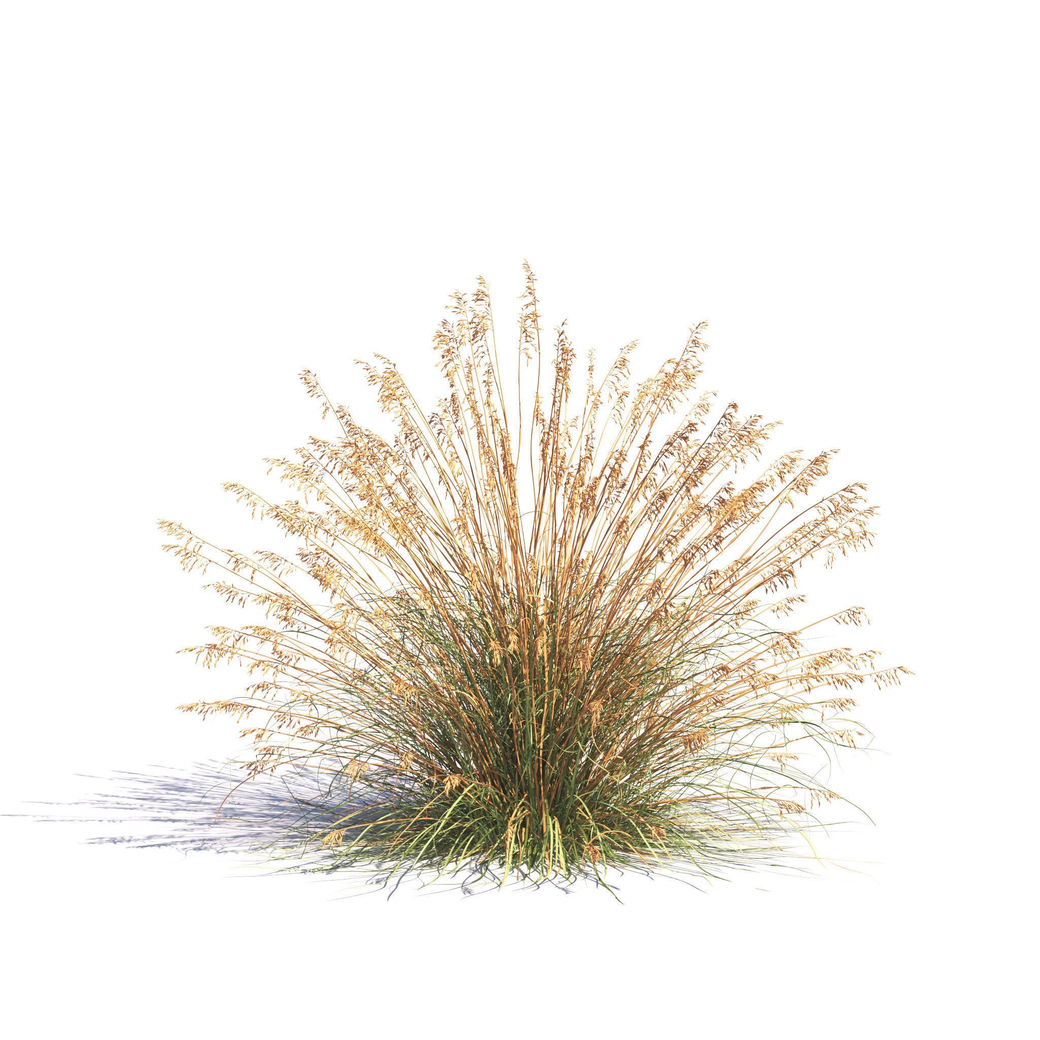 Garden Plants Collection - Game-Ready 3D Model - View 14