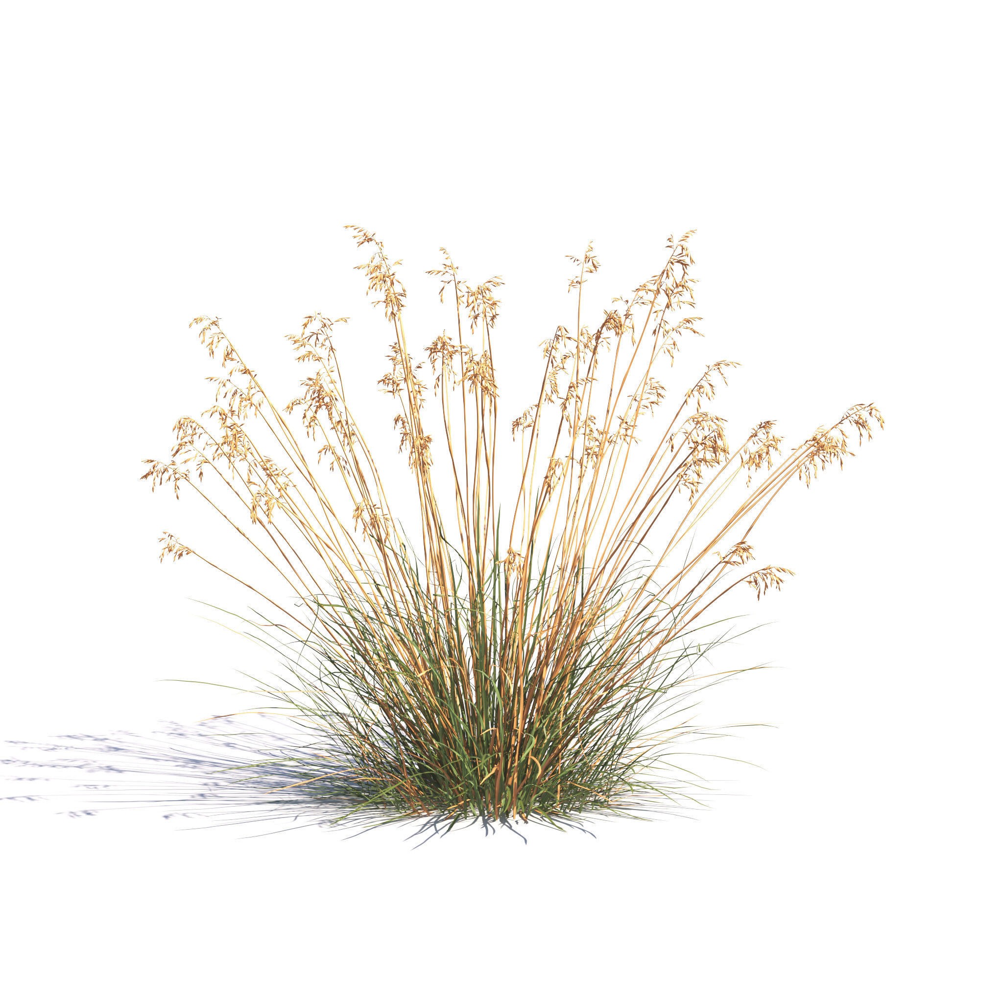 Garden Plants Collection - Game-Ready 3D Model - View 15