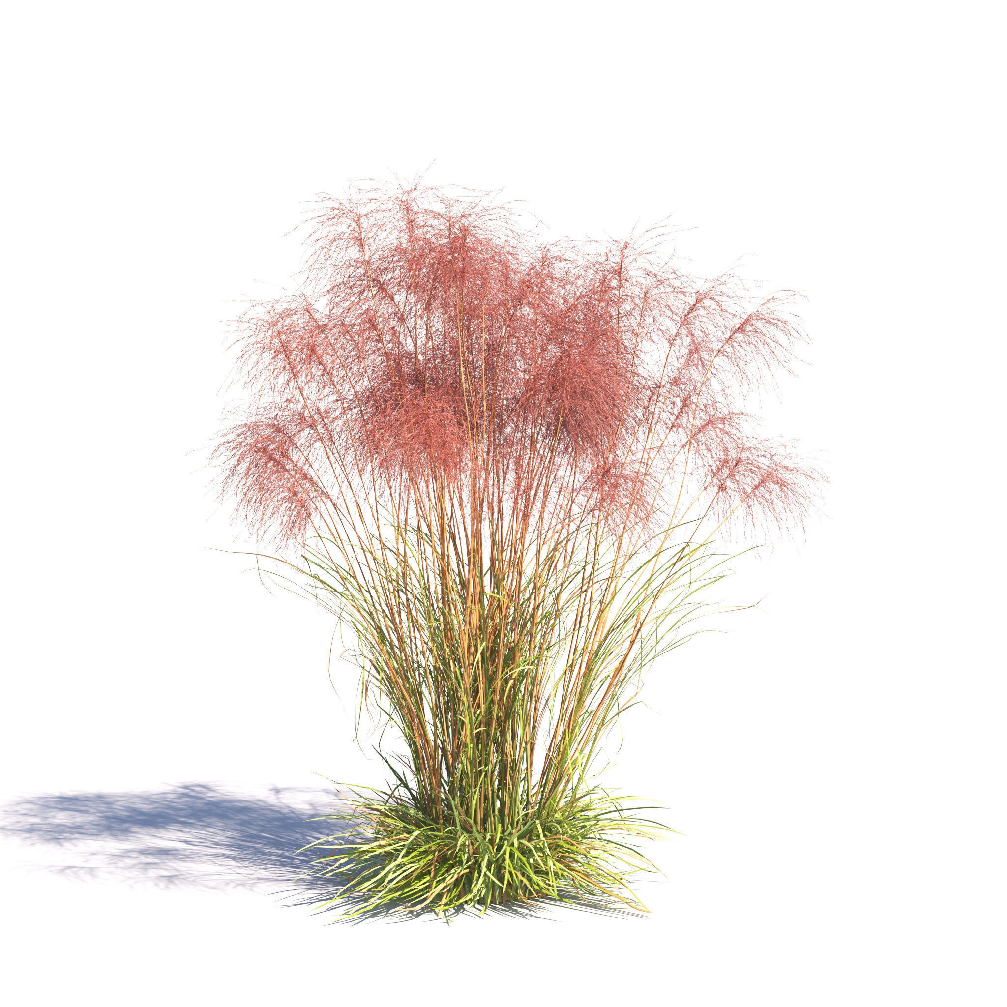 Garden Plants Collection - Game-Ready 3D Model - View 17