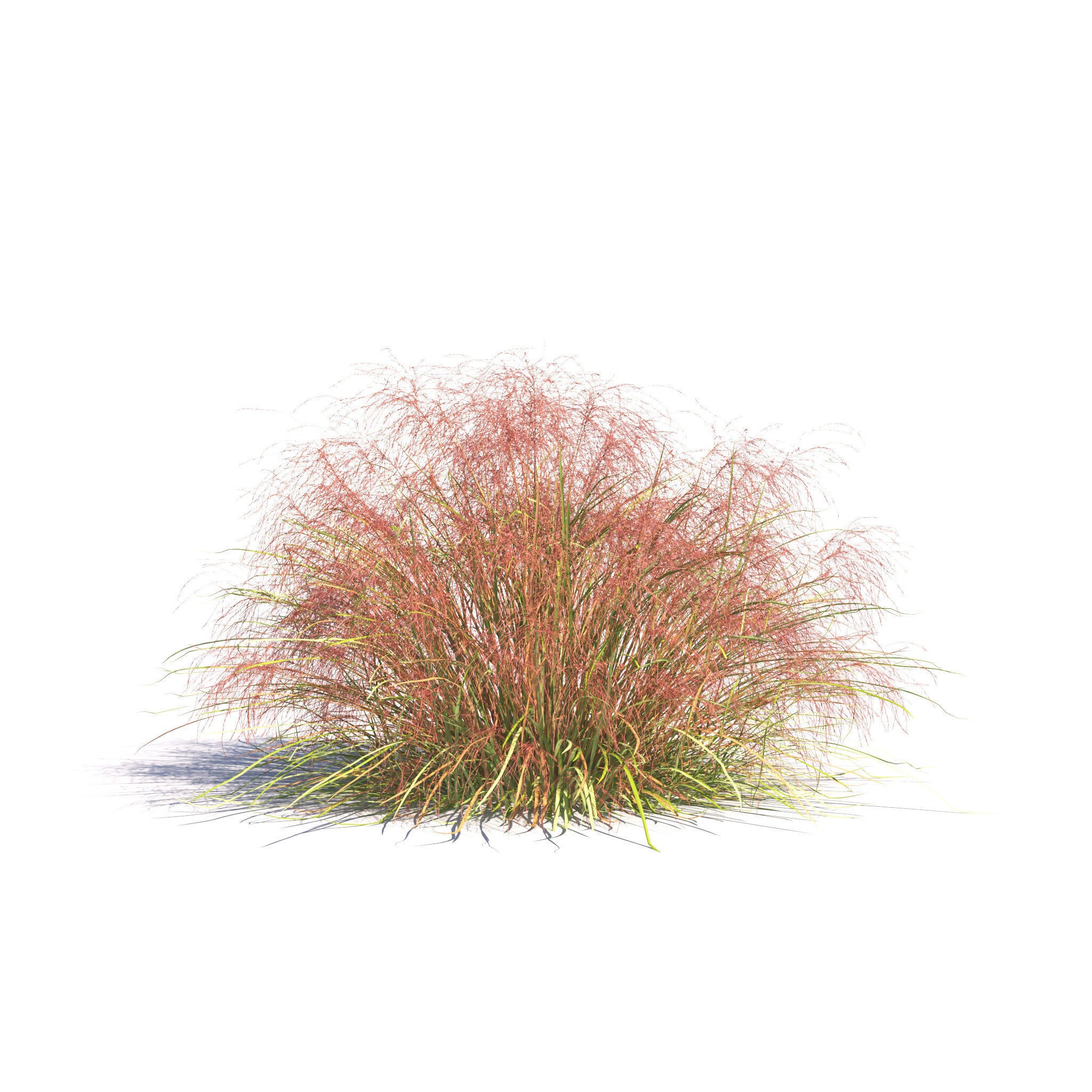 Garden Plants Collection - Game-Ready 3D Model - View 18