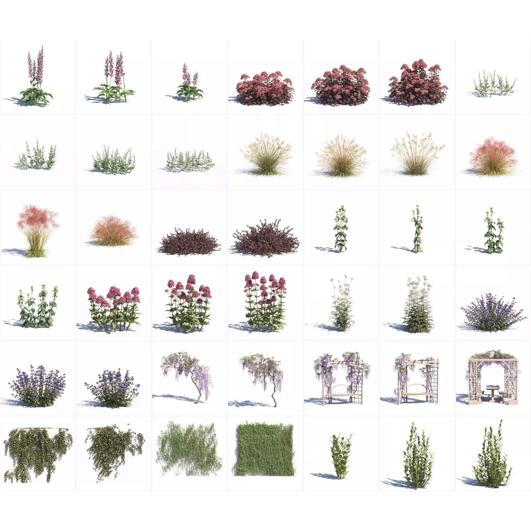 Garden Plants Collection - Game-Ready 3D Model - View 2