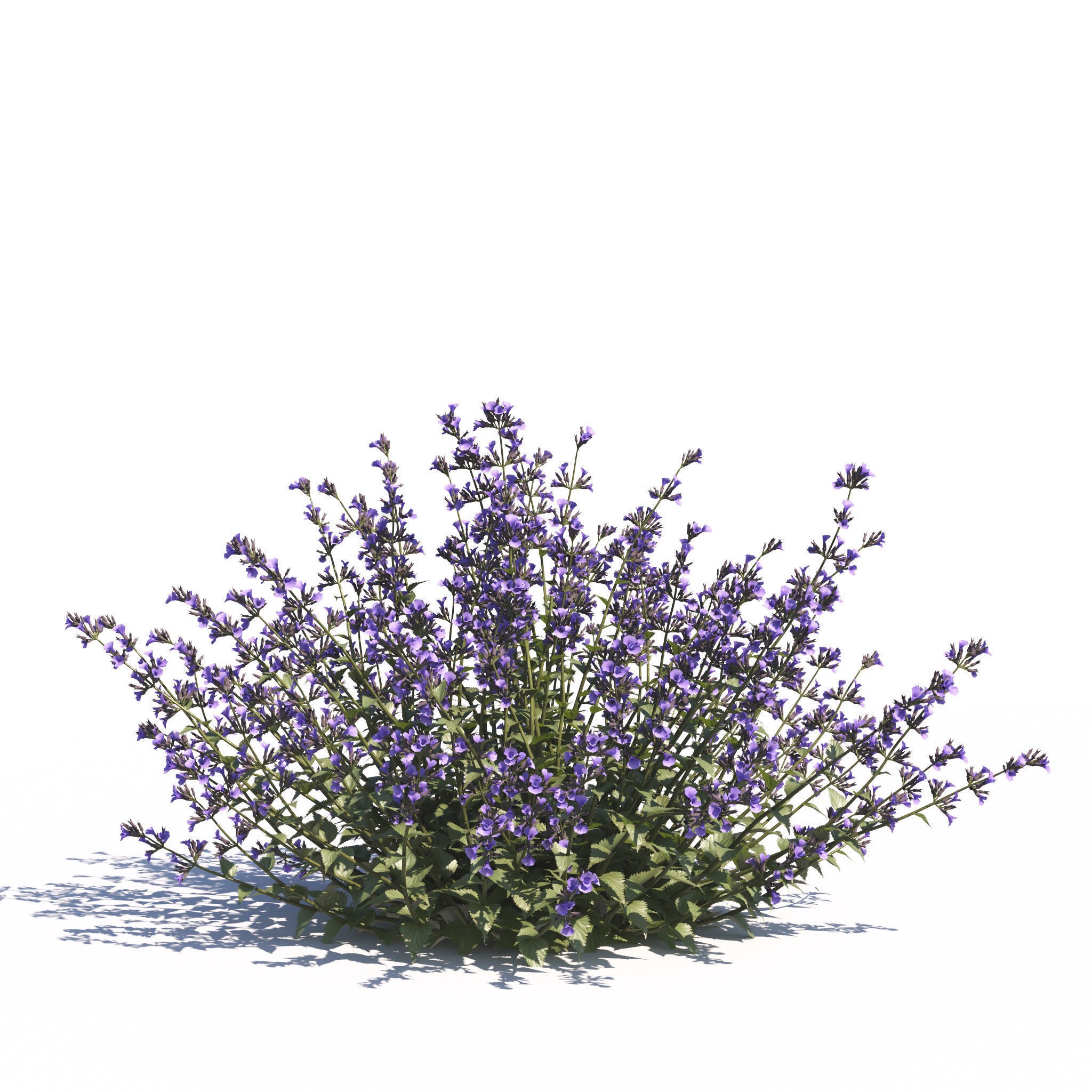 Garden Plants Collection - Game-Ready 3D Model - View 30