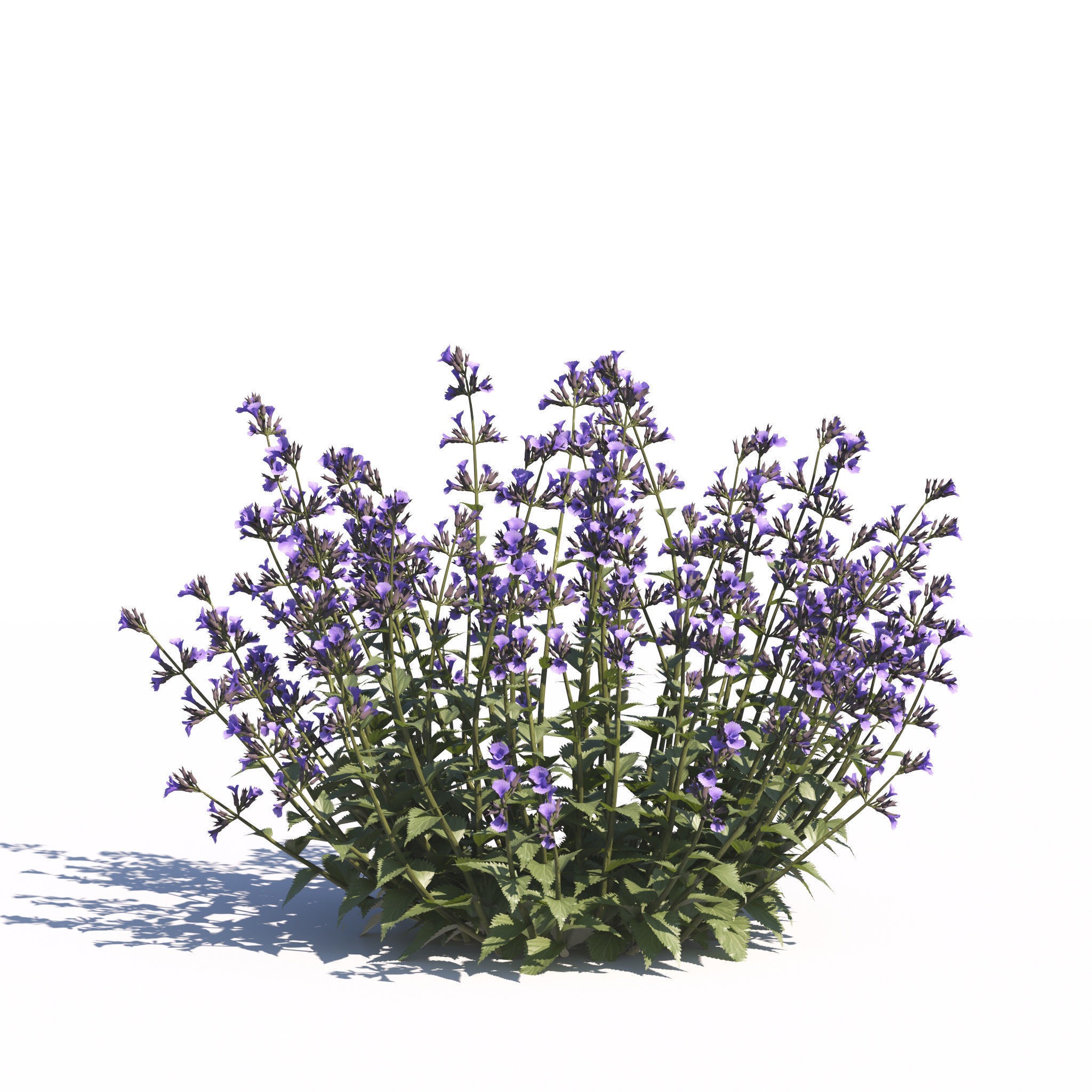 Garden Plants Collection - Game-Ready 3D Model - View 31