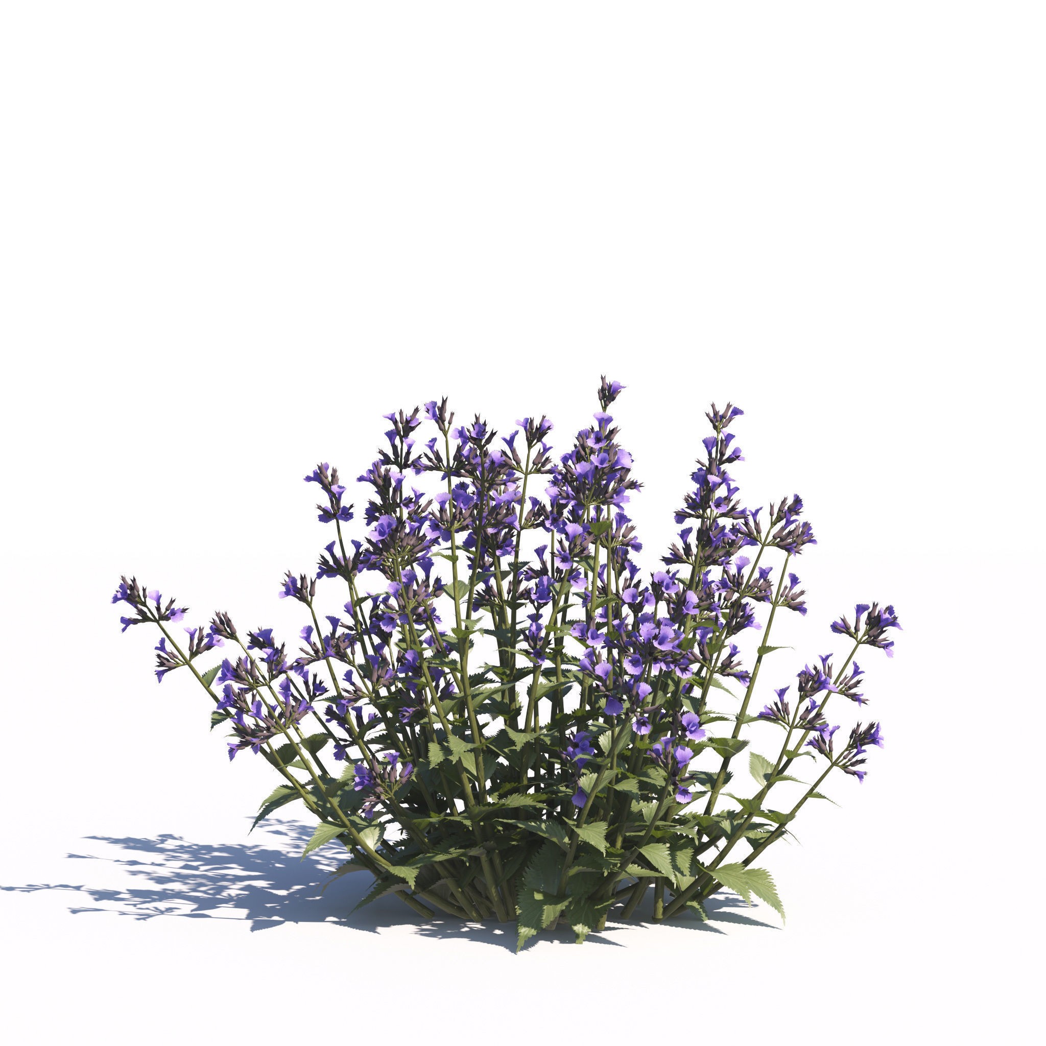Garden Plants Collection - Game-Ready 3D Model - View 32
