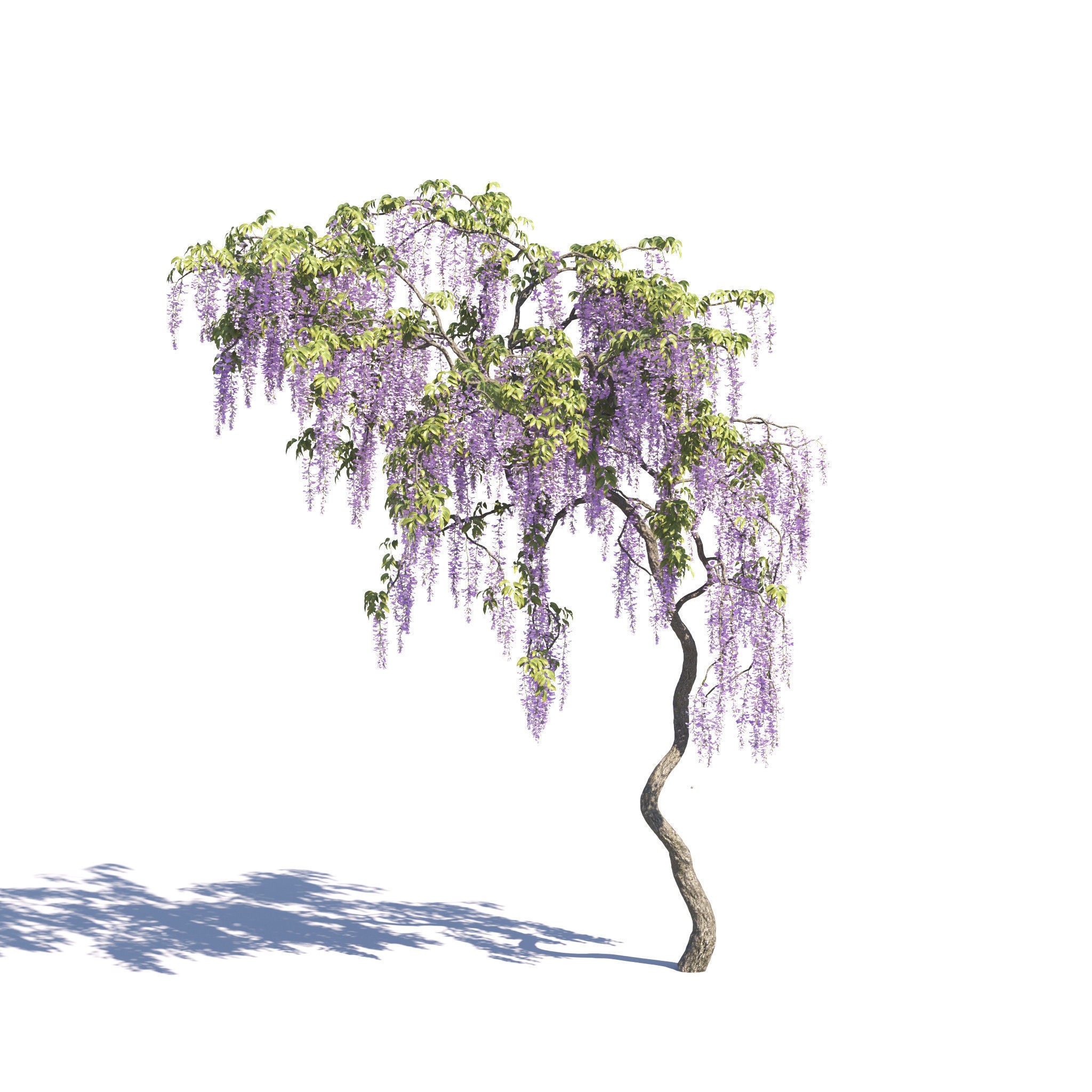 Garden Plants Collection - Game-Ready 3D Model - View 34