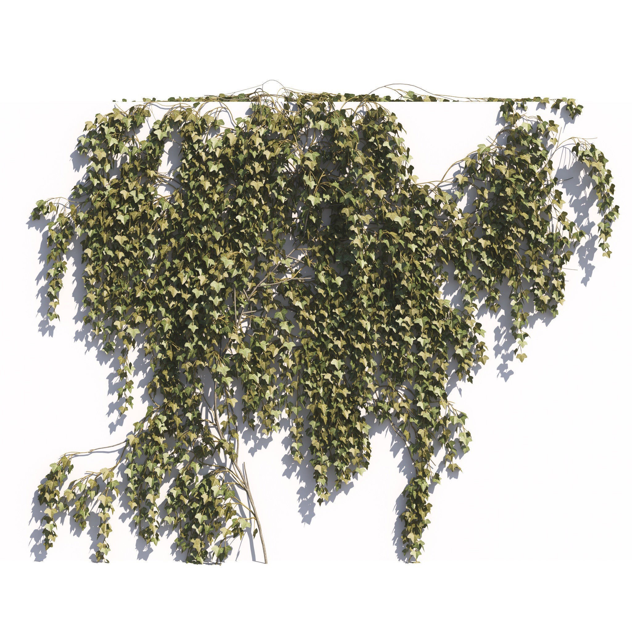 Garden Plants Collection - Game-Ready 3D Model - View 38