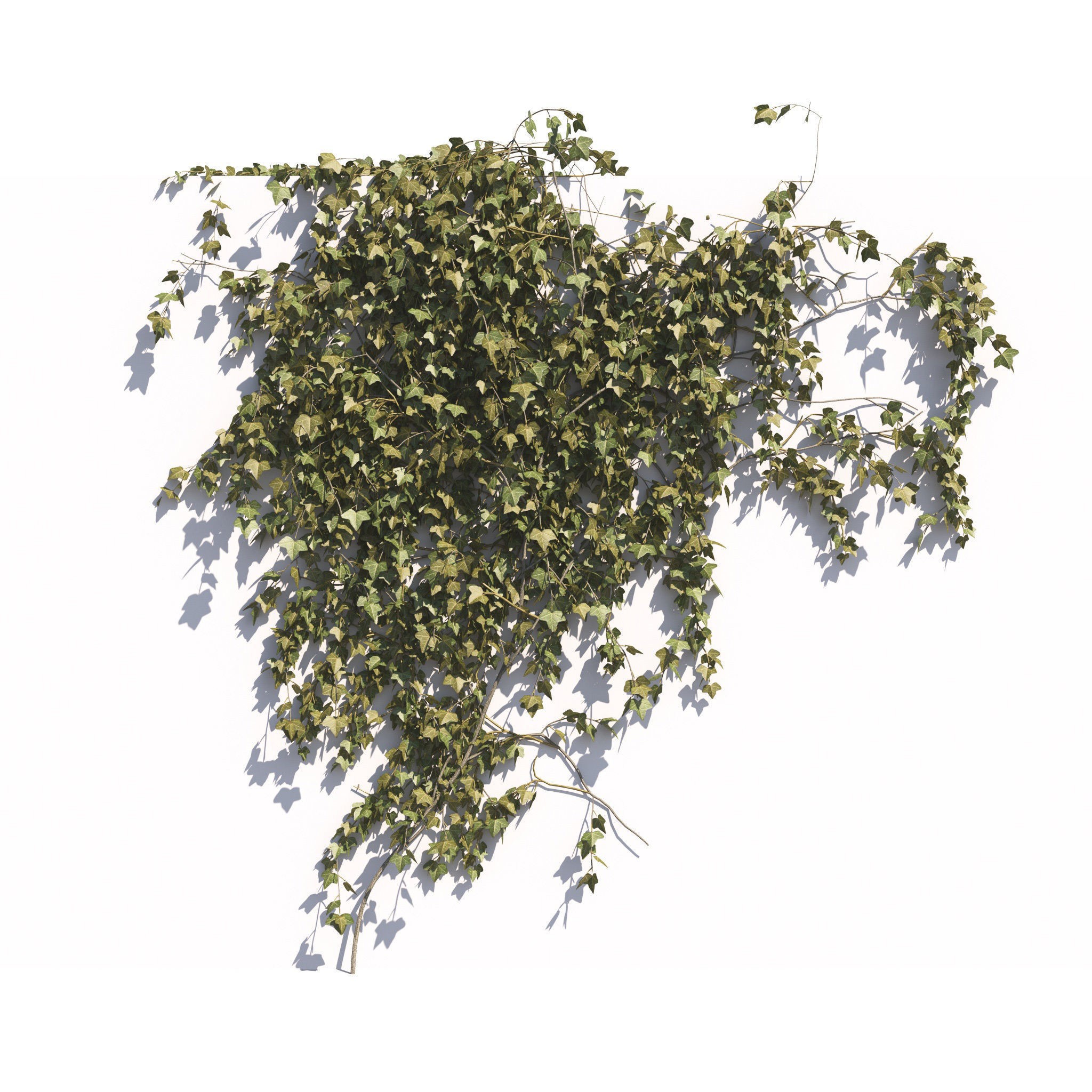 Garden Plants Collection - Game-Ready 3D Model - View 39