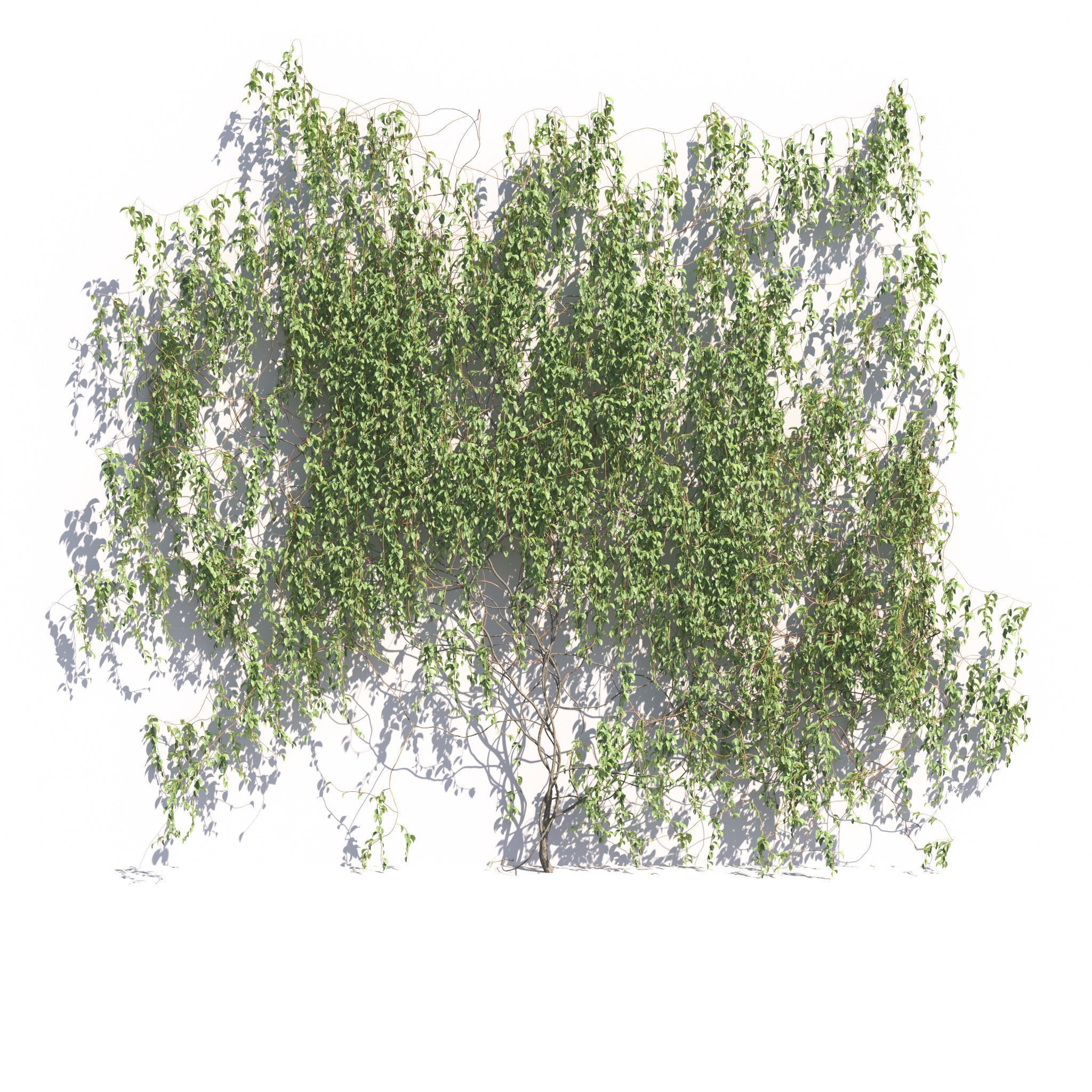 Garden Plants Collection - Game-Ready 3D Model - View 40