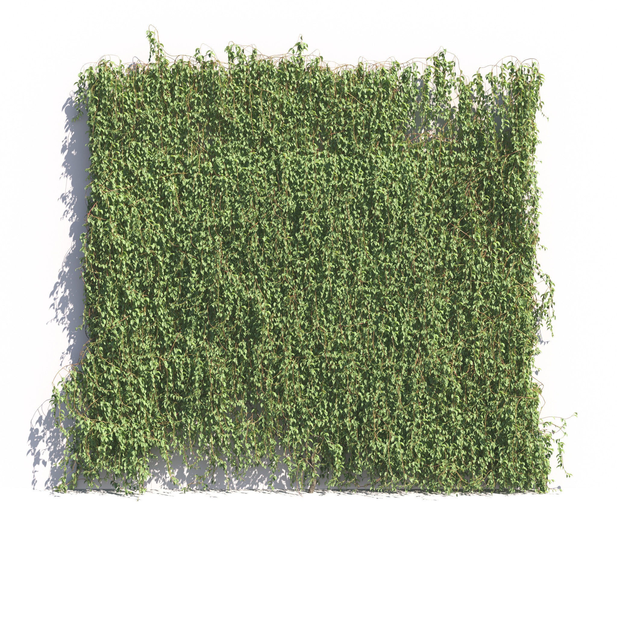 Garden Plants Collection - Game-Ready 3D Model - View 41